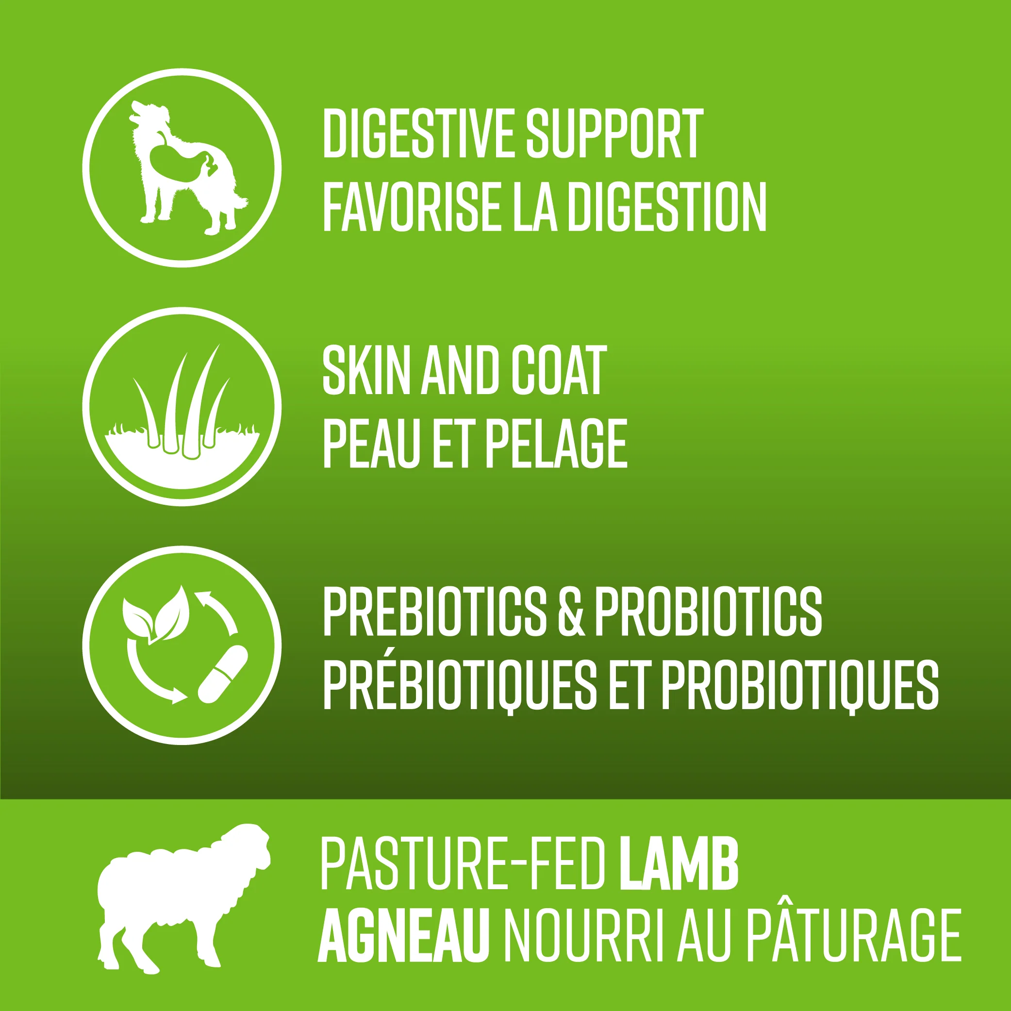 Lifetime Pasture Fed Lamb Grain Free Dog Food - Image 4
