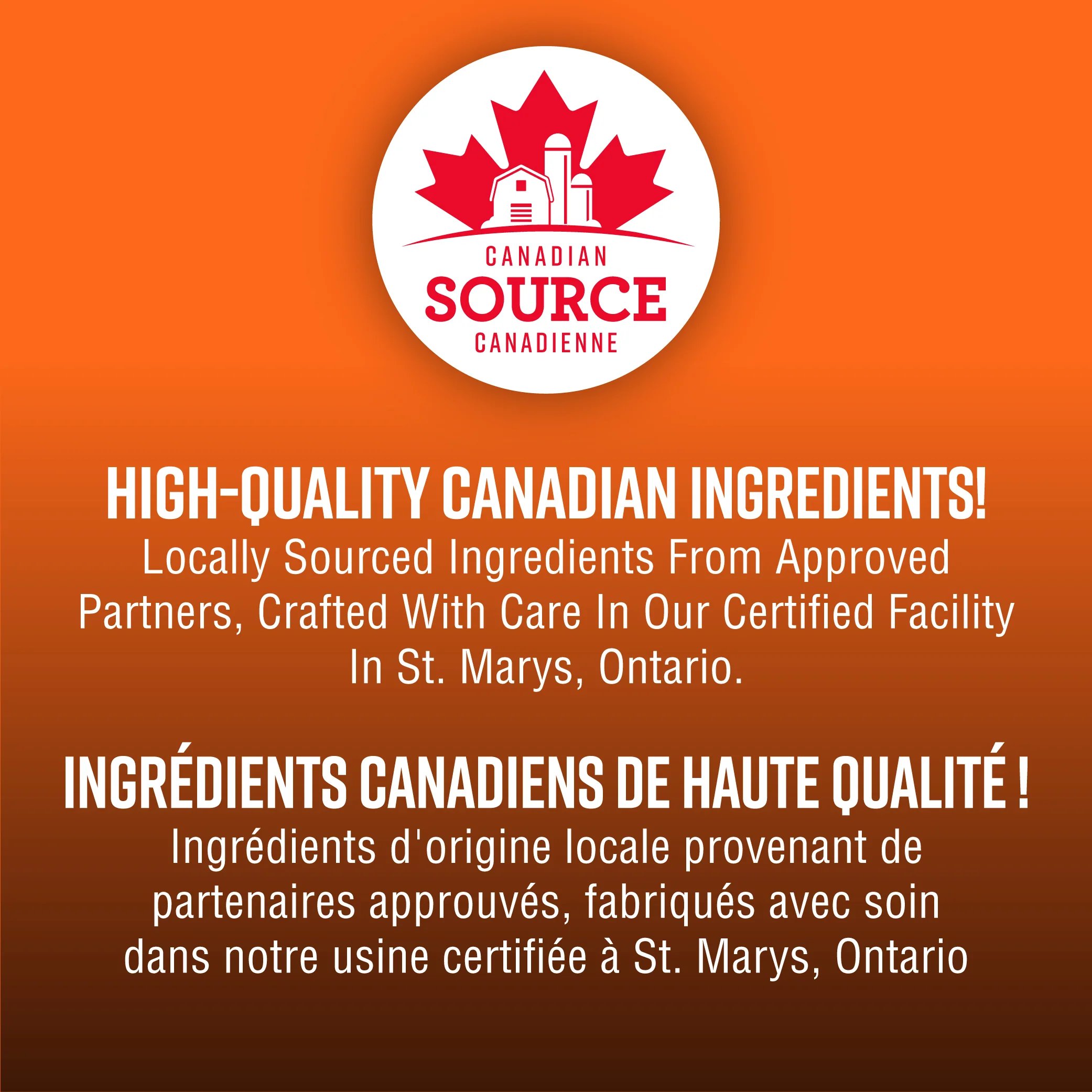 Lifetime Free-Run Chicken Grain Free Dog Food - Image 3