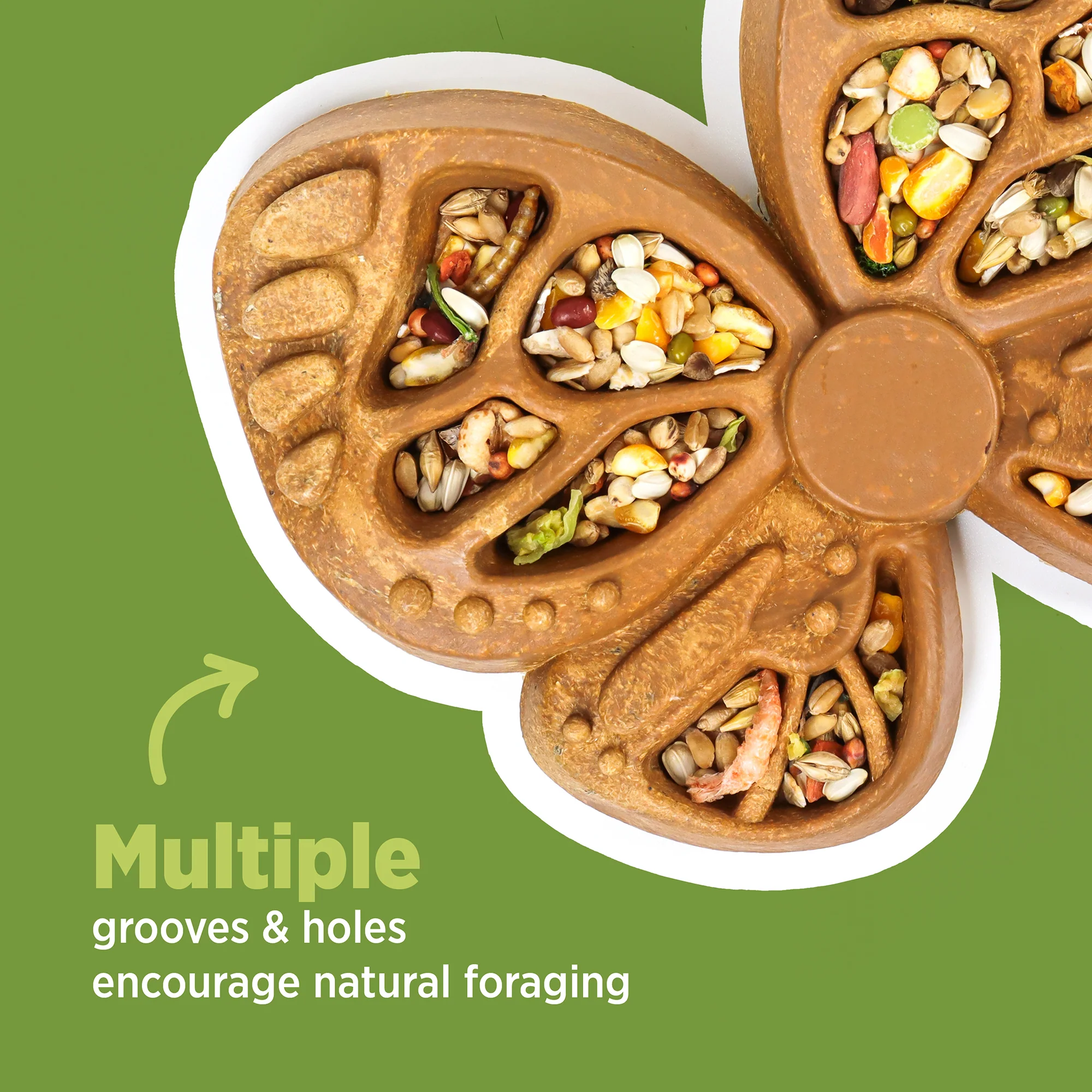 Living World Edible Butterfly Foraging Feeder for Small Animals - Image 4