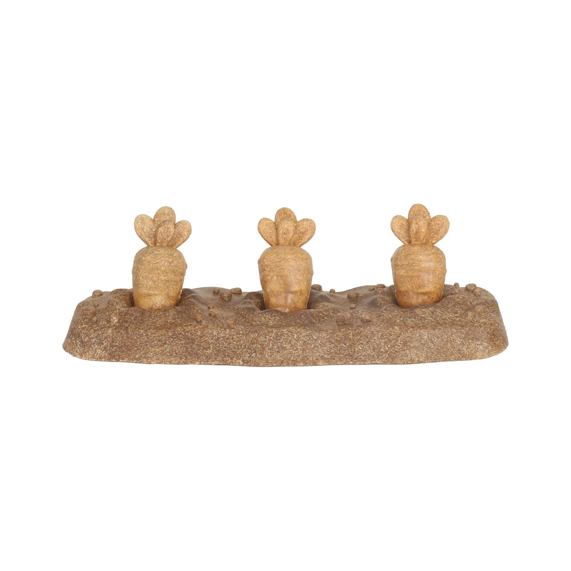 Living World Edible Carrot Patch Chew Toy for Small Animals