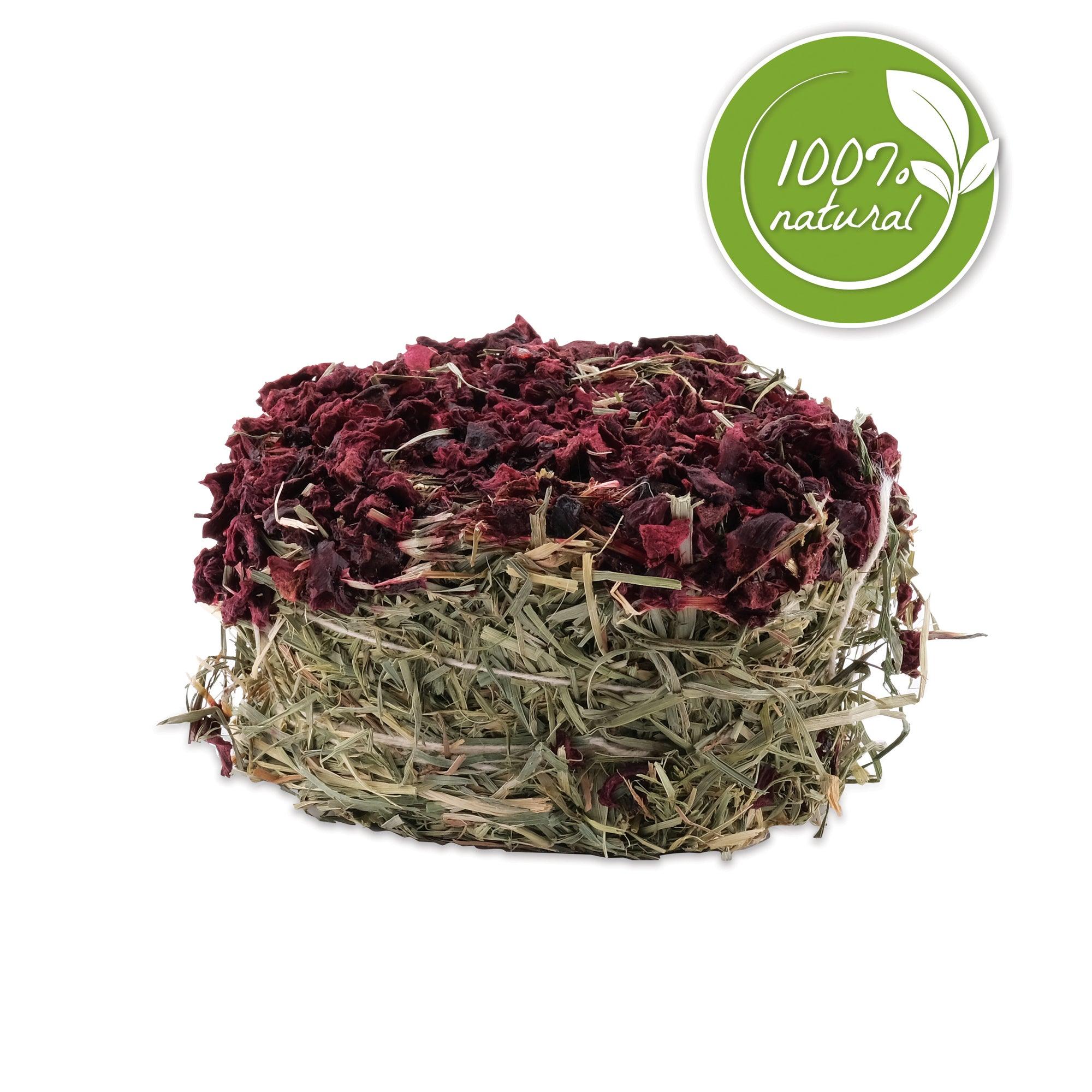 Living World Green Botanicals Hay Cake Beet - Image 3