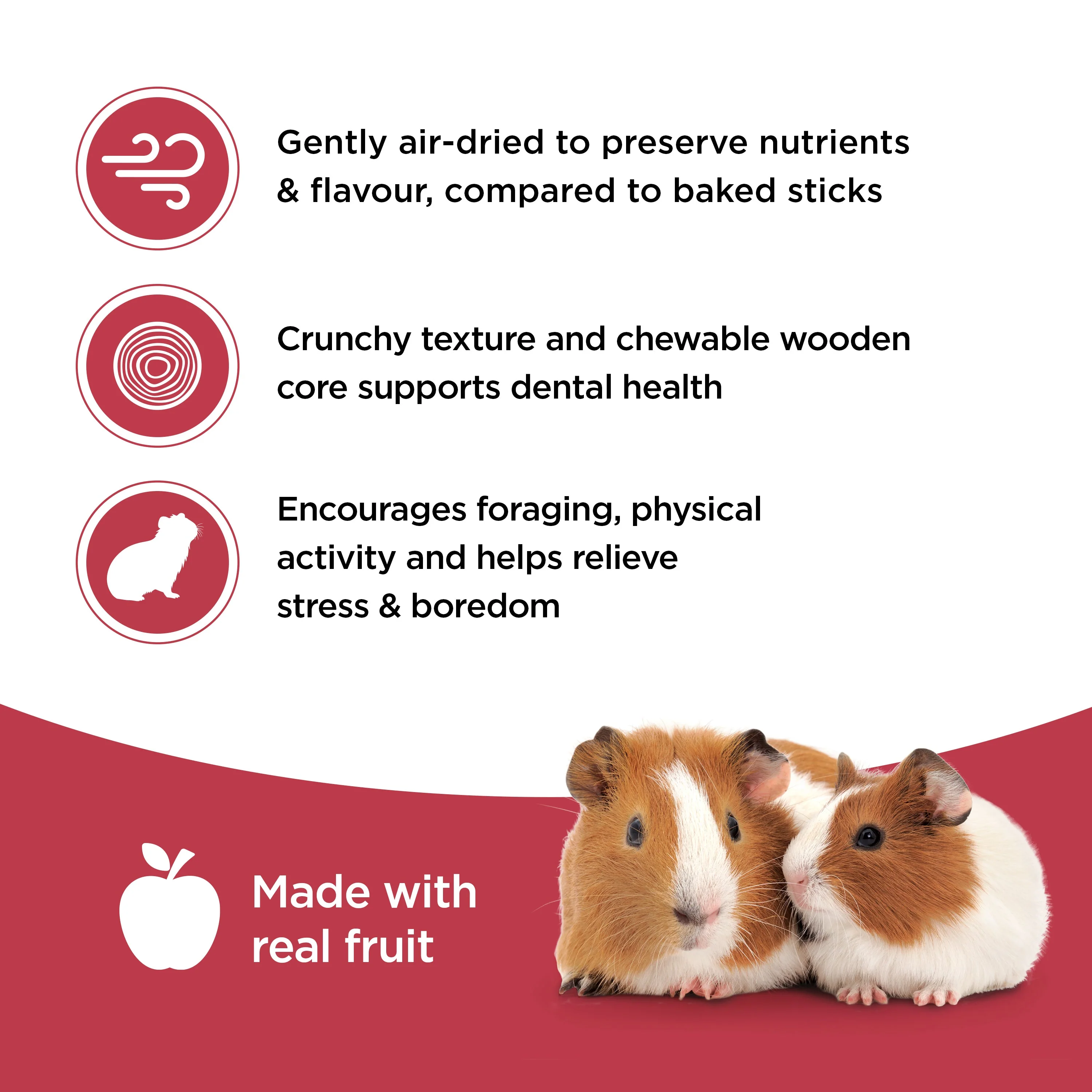 Living World Guinea Pig Fruit Medley Treat Sticks - Image 5