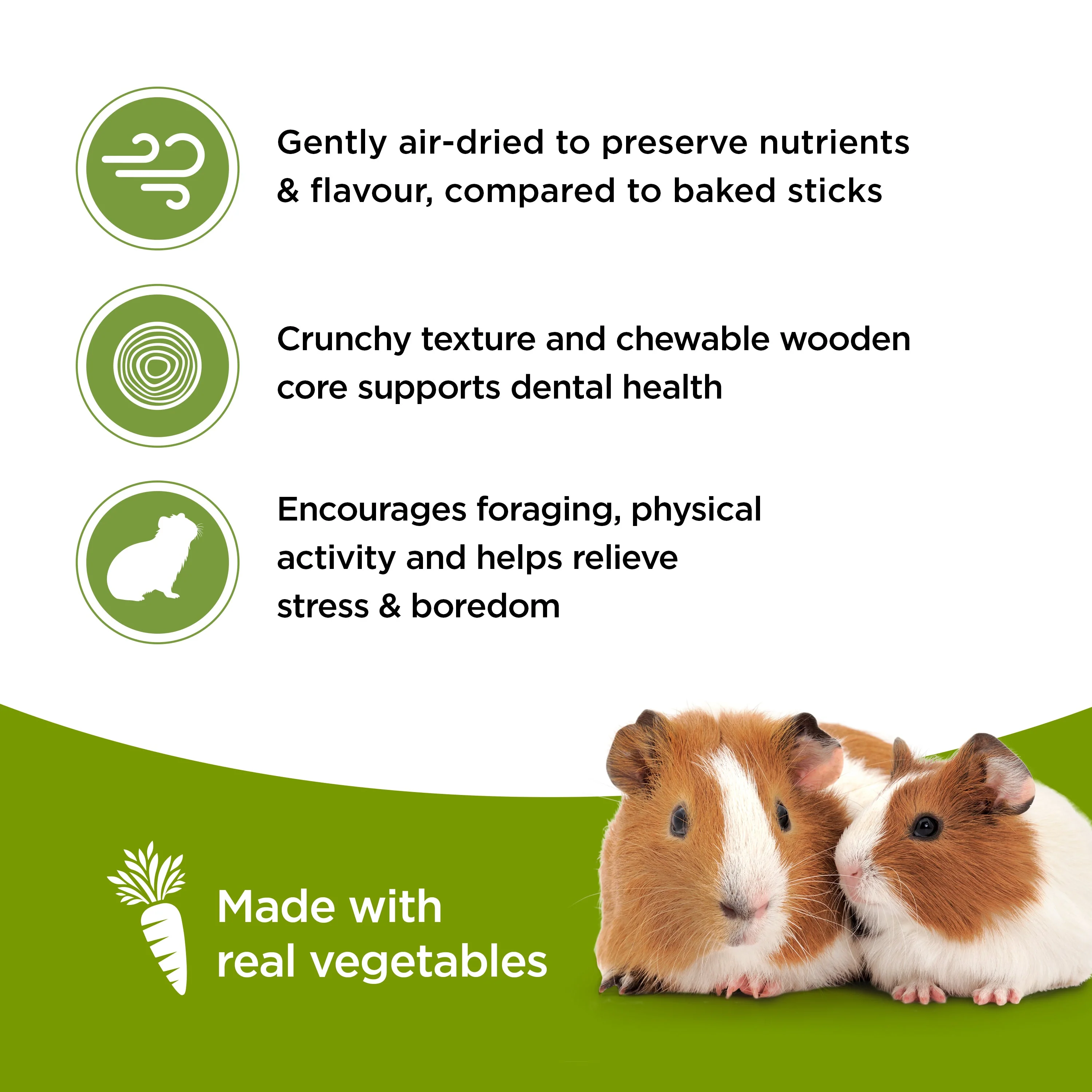 Living World Guinea Pig Veggie Patch Treat Sticks - Image 5