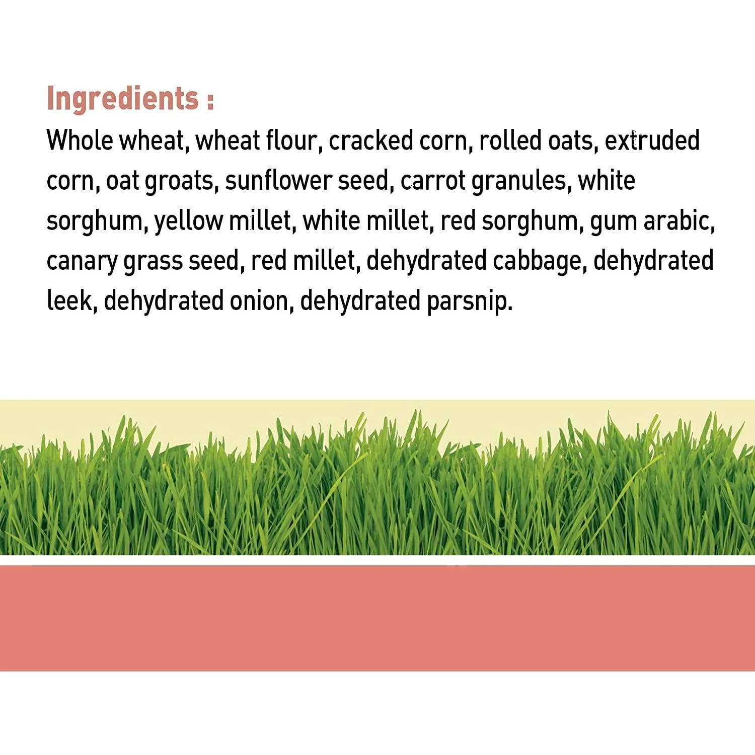Living World Small Animal Veggie Flavour Sticks - Image 3