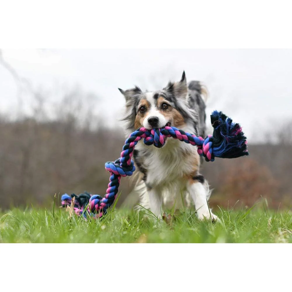 Mammoth Rope Bone 4 Knot Tug - Image 4
