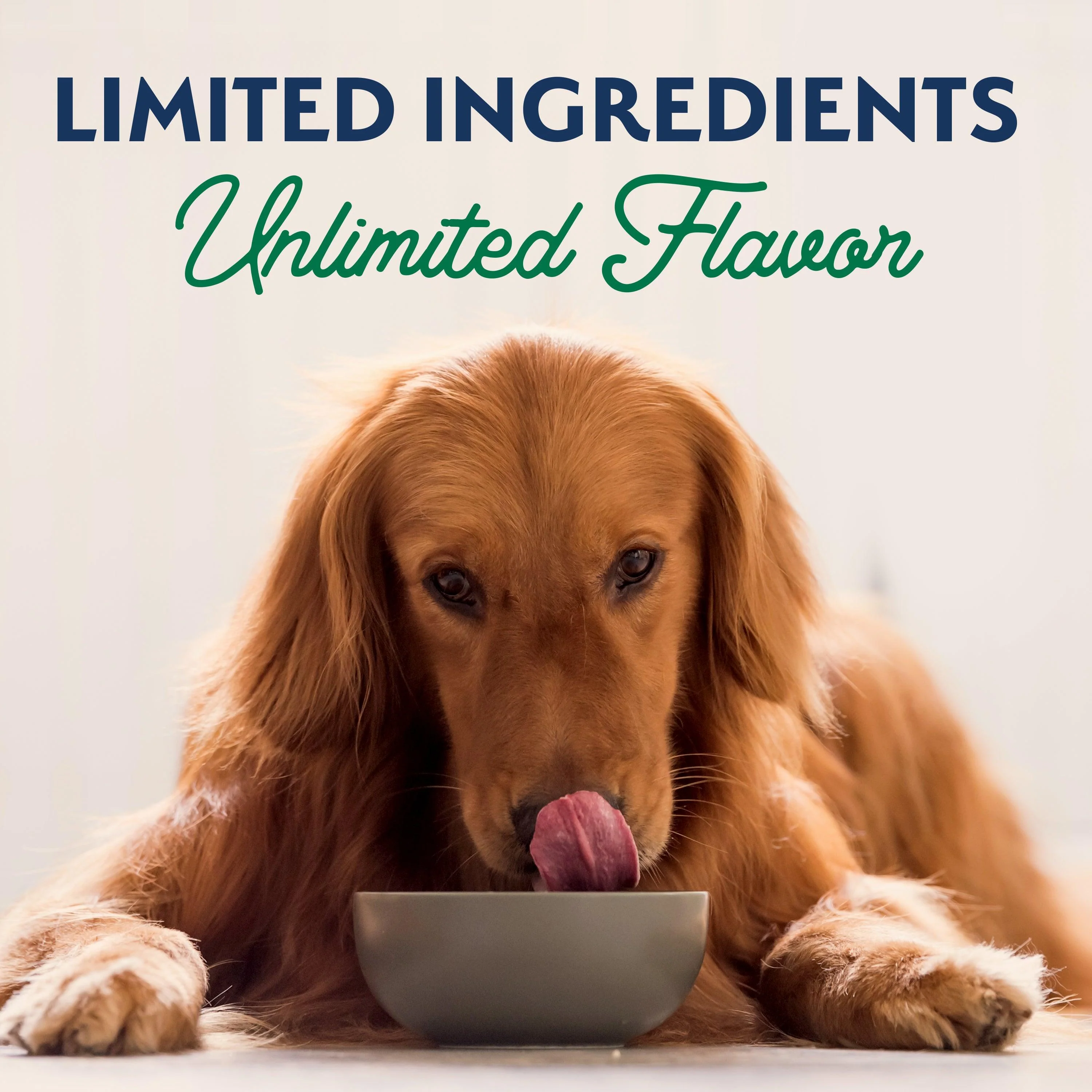Natural Balance Canned Dog Food Lamb & Brown Rice - Image 10