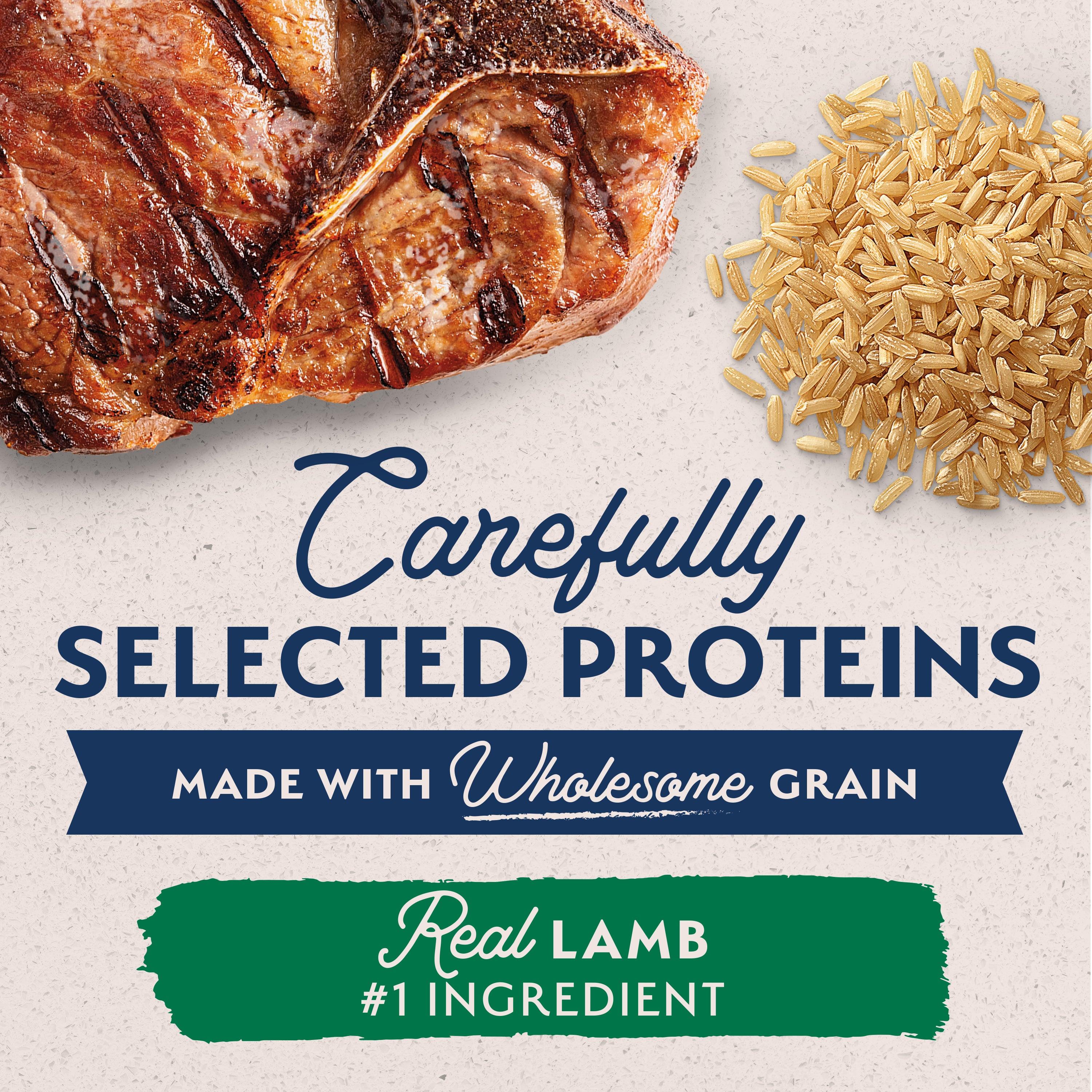 Natural Balance Canned Dog Food Lamb & Brown Rice - Image 5