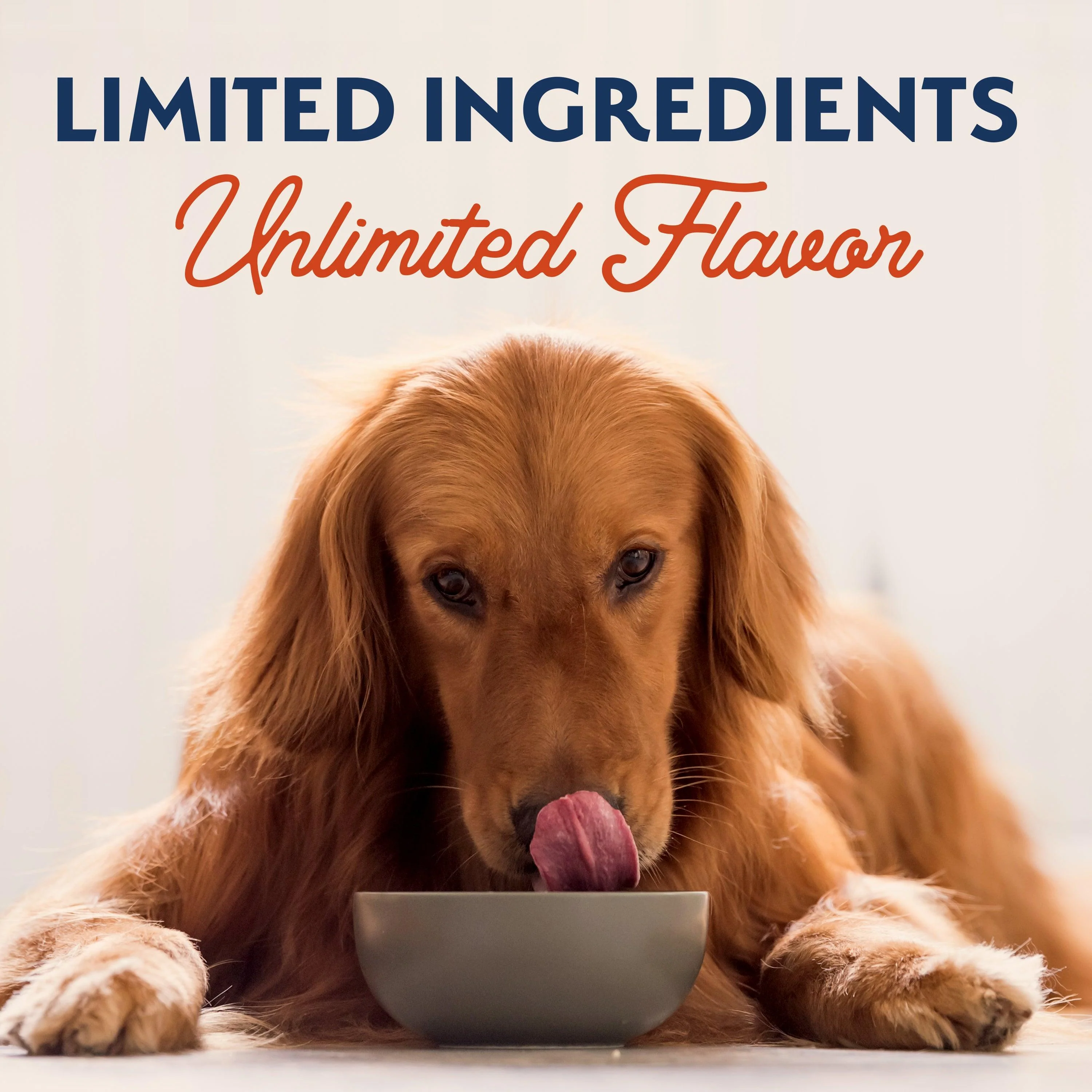 Natural Balance Canned Dog Food Sweet Potato and Salmon - Image 10