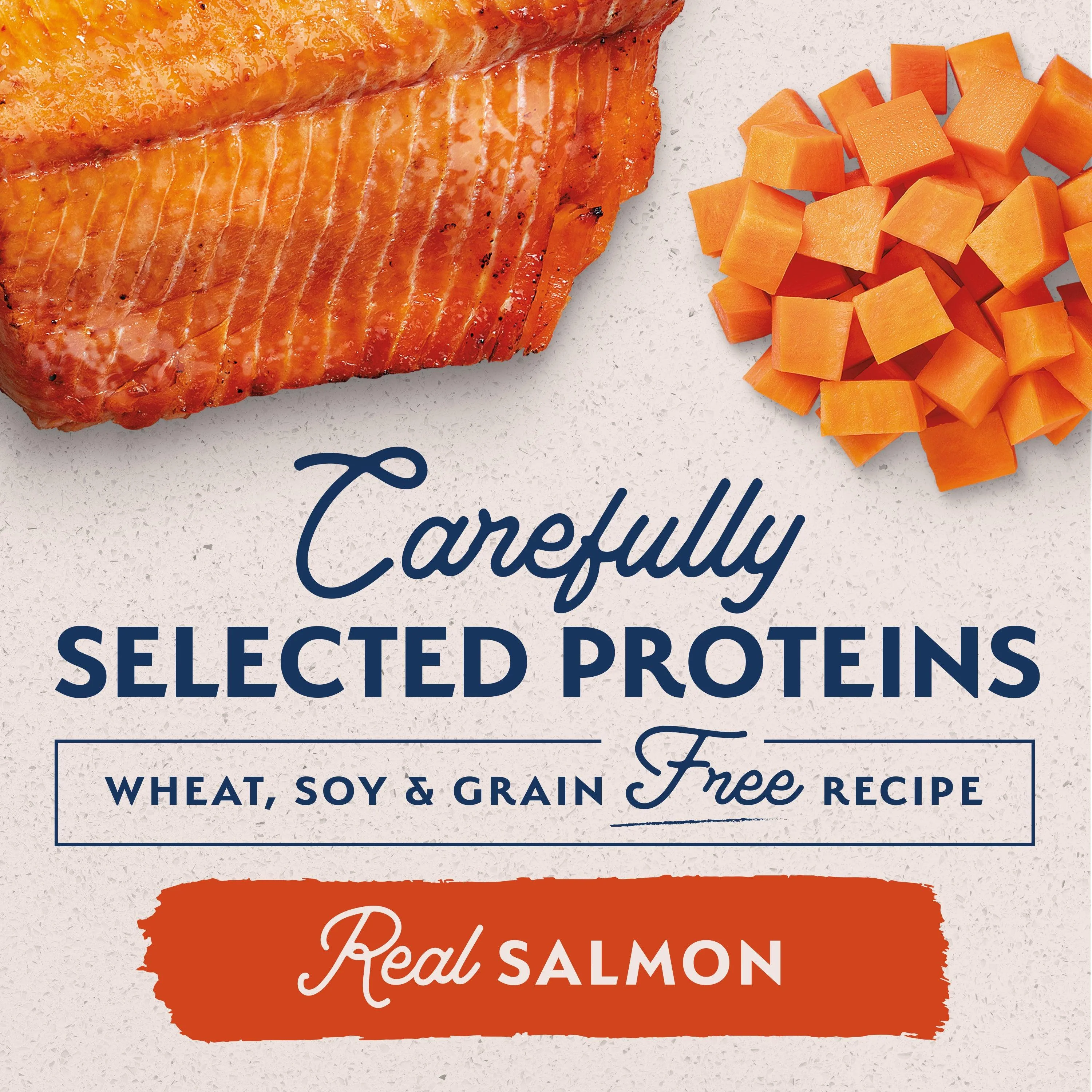 Natural Balance Canned Dog Food Sweet Potato and Salmon - Image 5