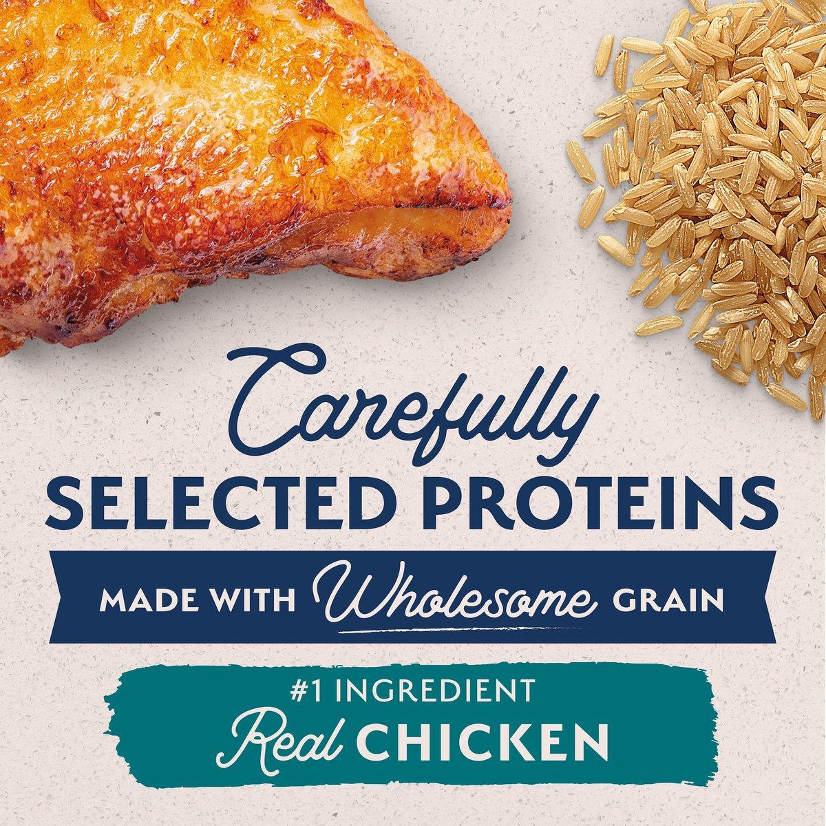 Natural Balance Limited Ingredient Diet Adult Dry Dog Food with Healthy Grains Chicken - Image 4