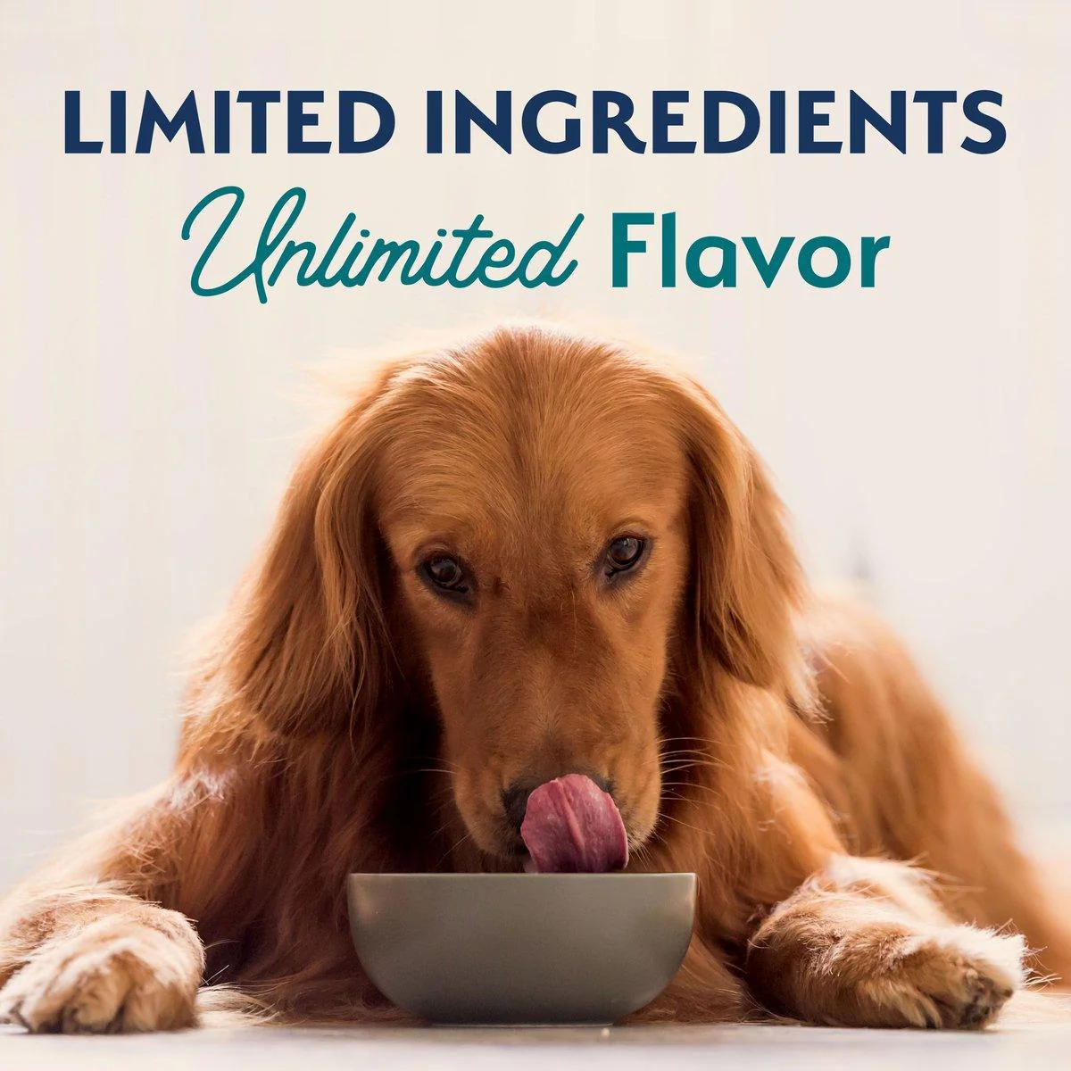 Natural Balance Limited Ingredient Diet Adult Dry Dog Food with Healthy Grains Chicken - Image 8