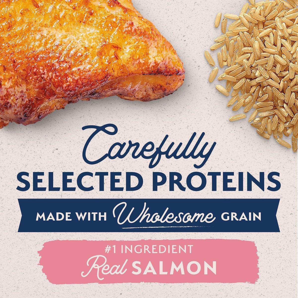 Natural Balance Limited Ingredient Diet Adult Dry Dog Food with Healthy Grains Salmon - Image 4
