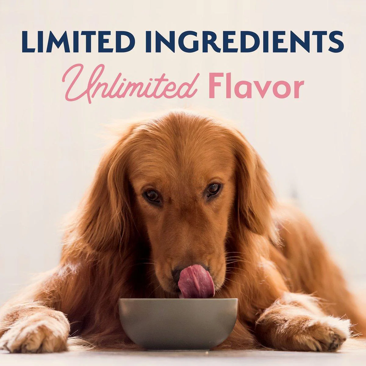 Natural Balance Limited Ingredient Diet Adult Dry Dog Food with Healthy Grains Salmon - Image 9