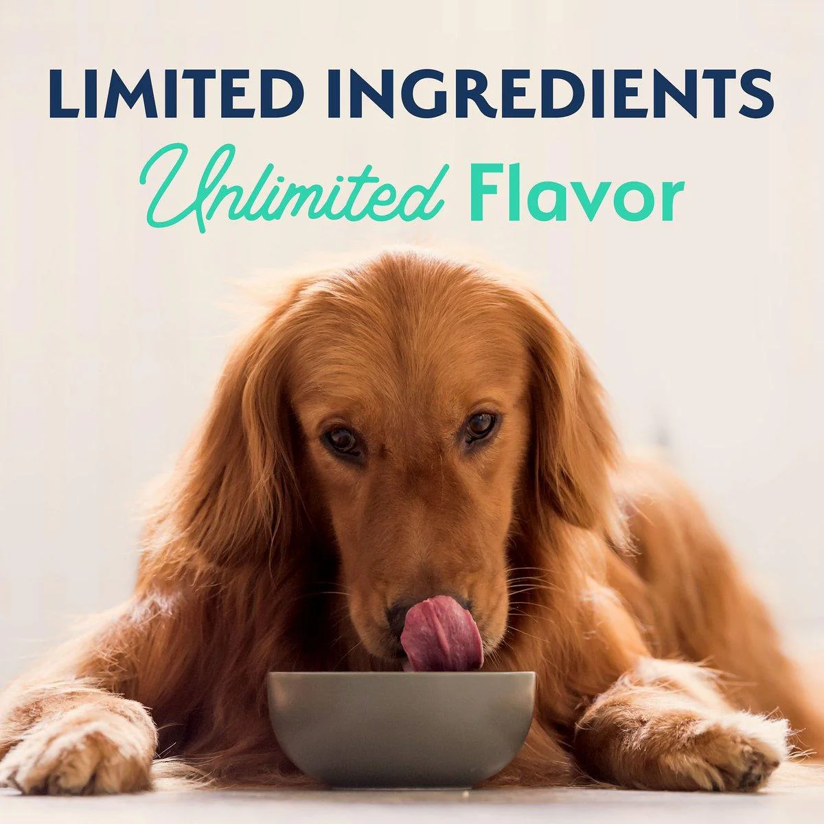 Natural Balance Limited Ingredient Diet Sweet Potato & Chicken Dog Food - Image 9