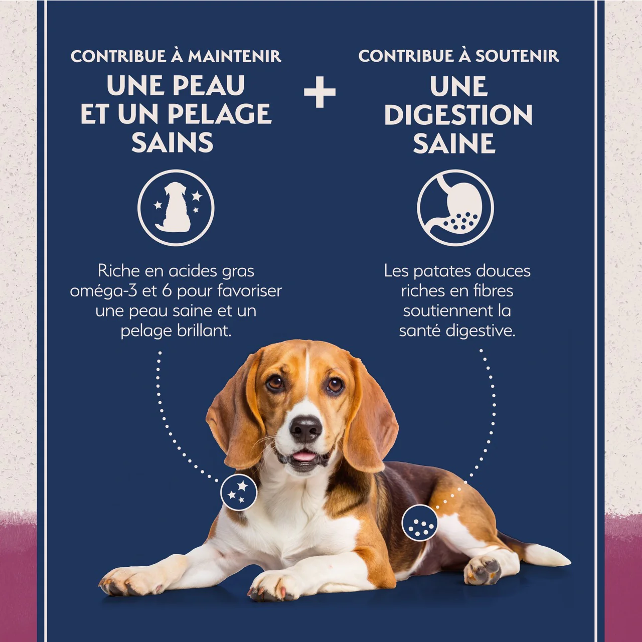 Natural Balance Limited Ingredient Diet Sweet Potato & Venison Dog Food - Image 10