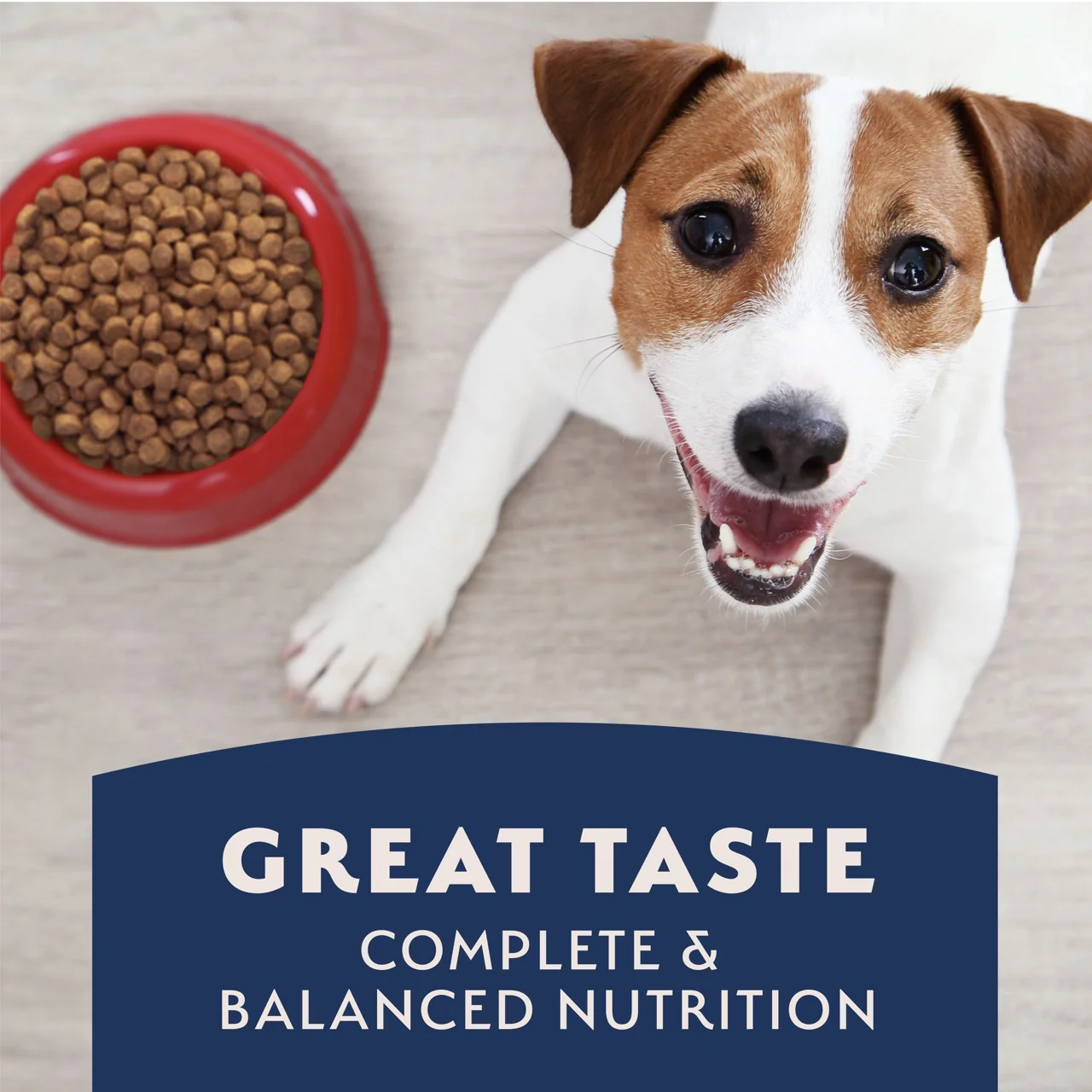 Natural Balance Limited Ingredient Diet Sweet Potato & Venison Dog Food - Image 15
