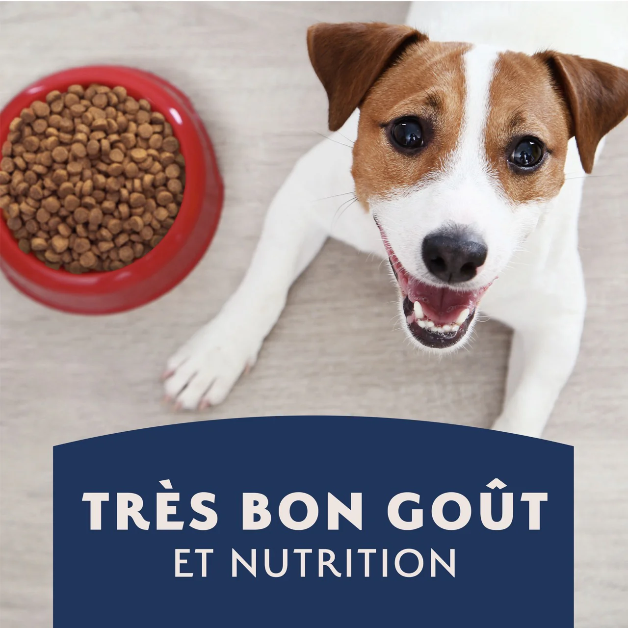 Natural Balance Limited Ingredient Diet Sweet Potato & Venison Dog Food - Image 16