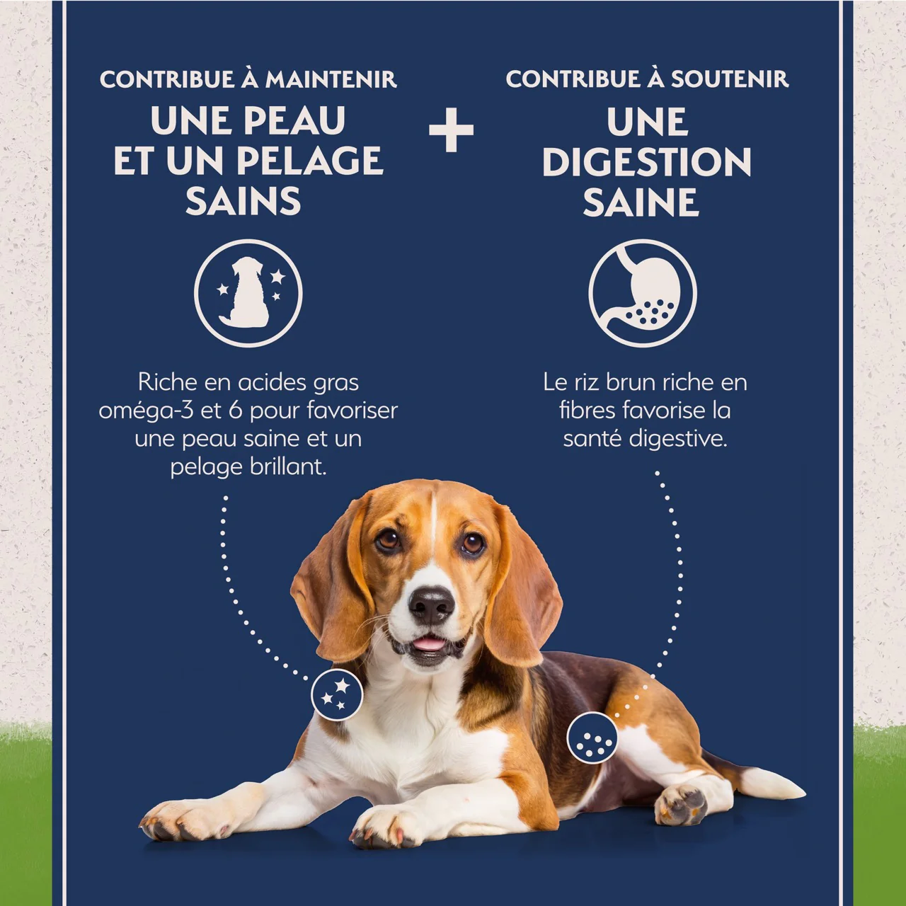 Natural Balance Limited Ingredient Diet Vegetarian Adult Dry Dog Food - Image 10