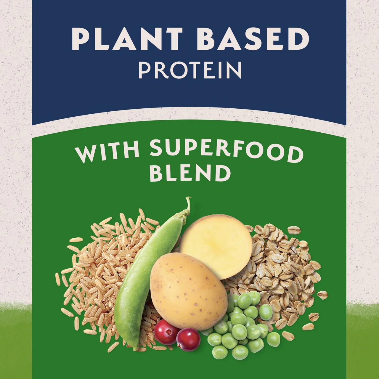 Natural Balance Limited Ingredient Diet Vegetarian Adult Dry Dog Food - Image 5