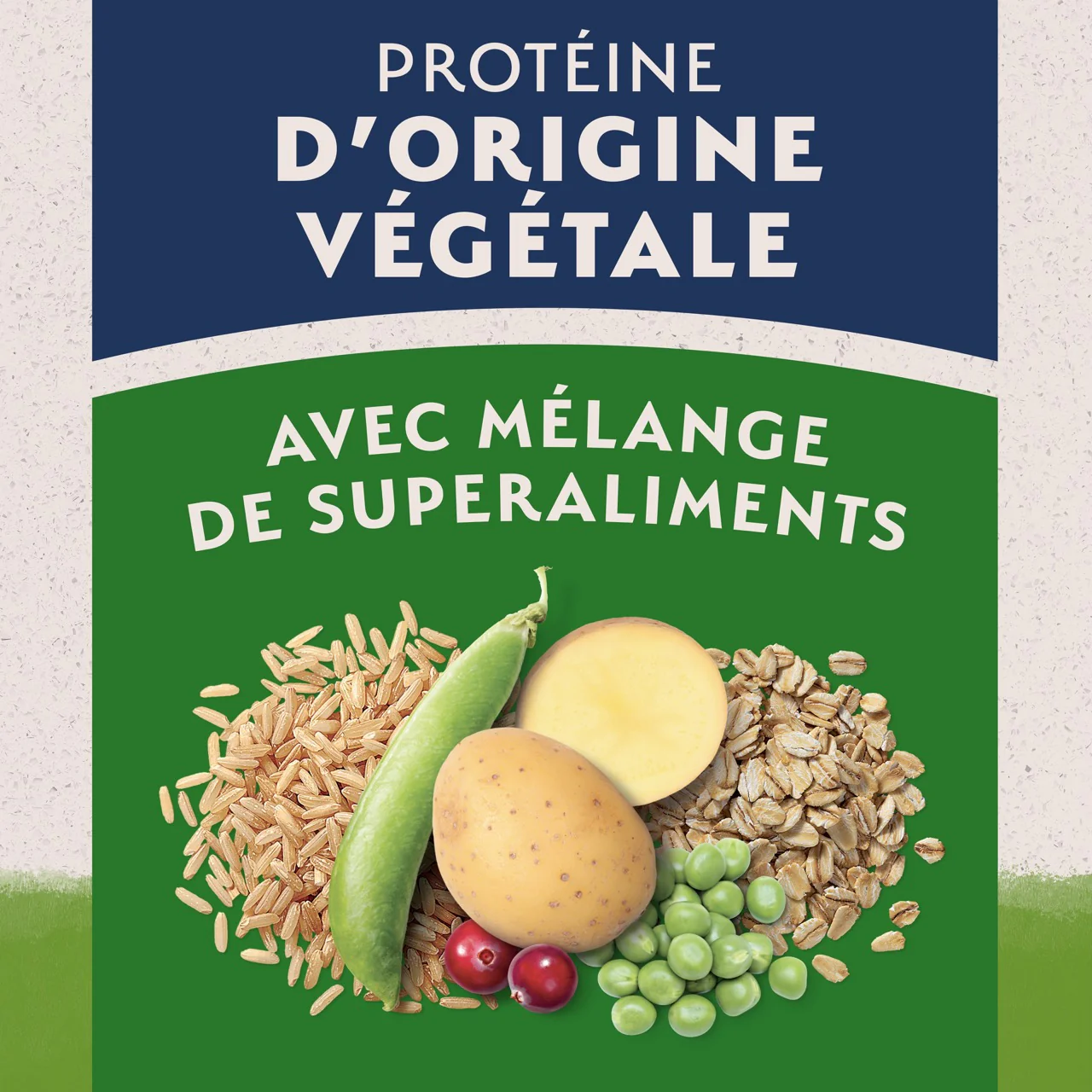Natural Balance Limited Ingredient Diet Vegetarian Adult Dry Dog Food - Image 6