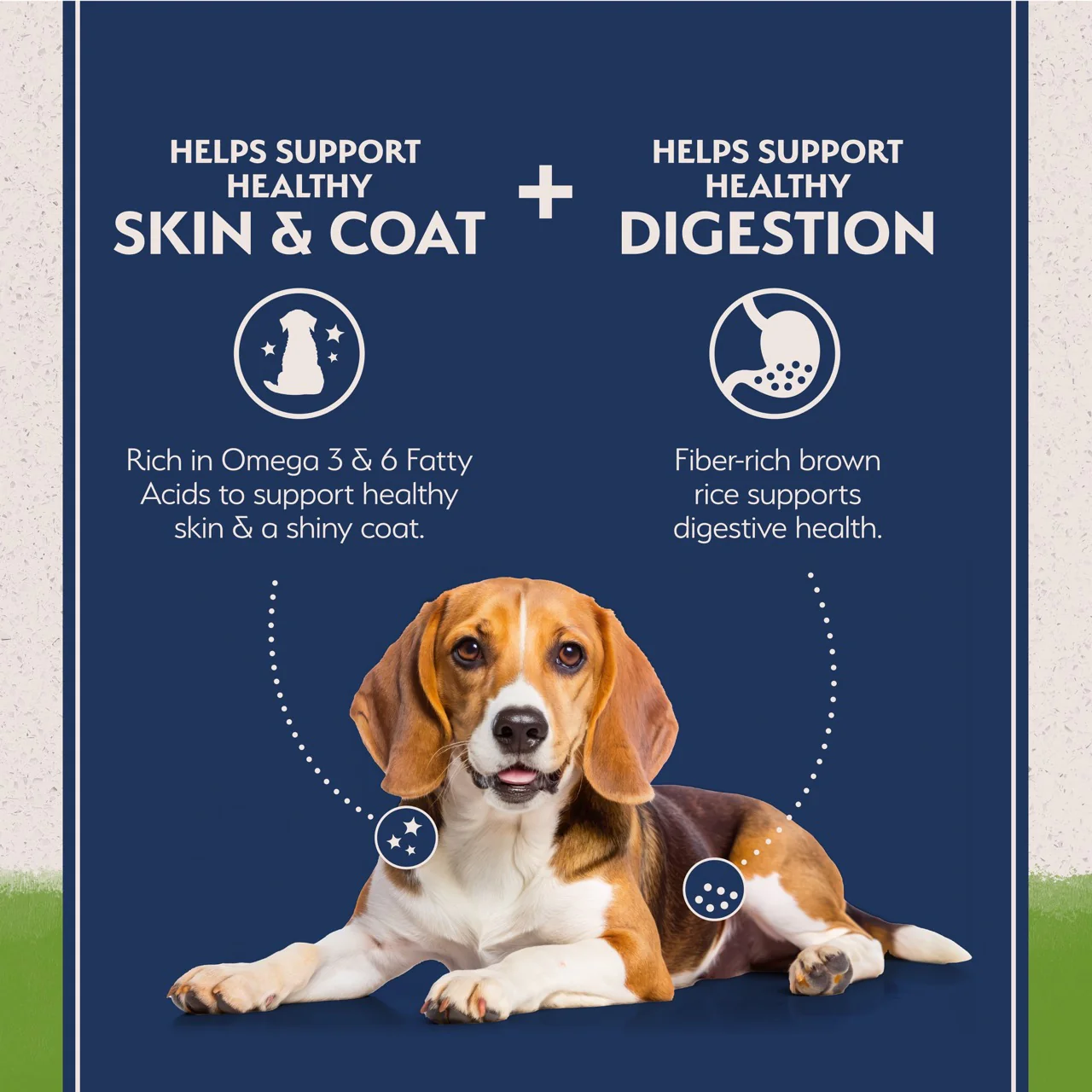 Natural Balance Limited Ingredient Diet Vegetarian Adult Dry Dog Food - Image 9