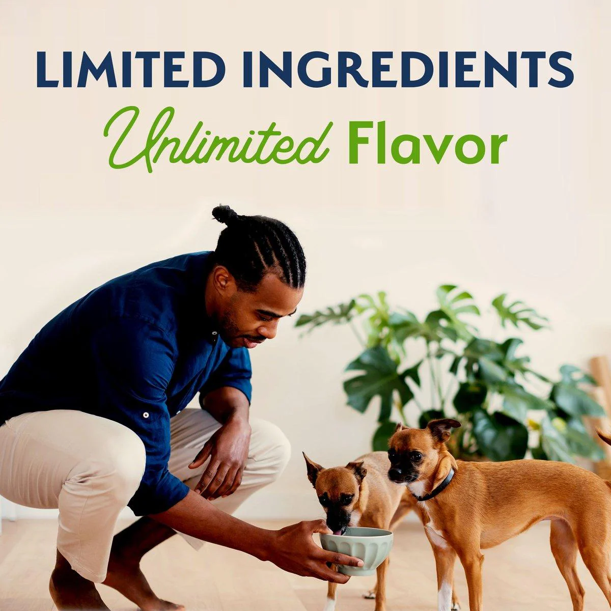 Natural Balance Limited Ingredient Diet Vegetarian Small Breed Adult Dry Dog Food - Image 8