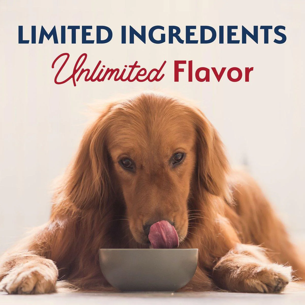 Natural Balance Reserve Grain Free Sweet Potato & Bison Recipe For Dogs - Image 6