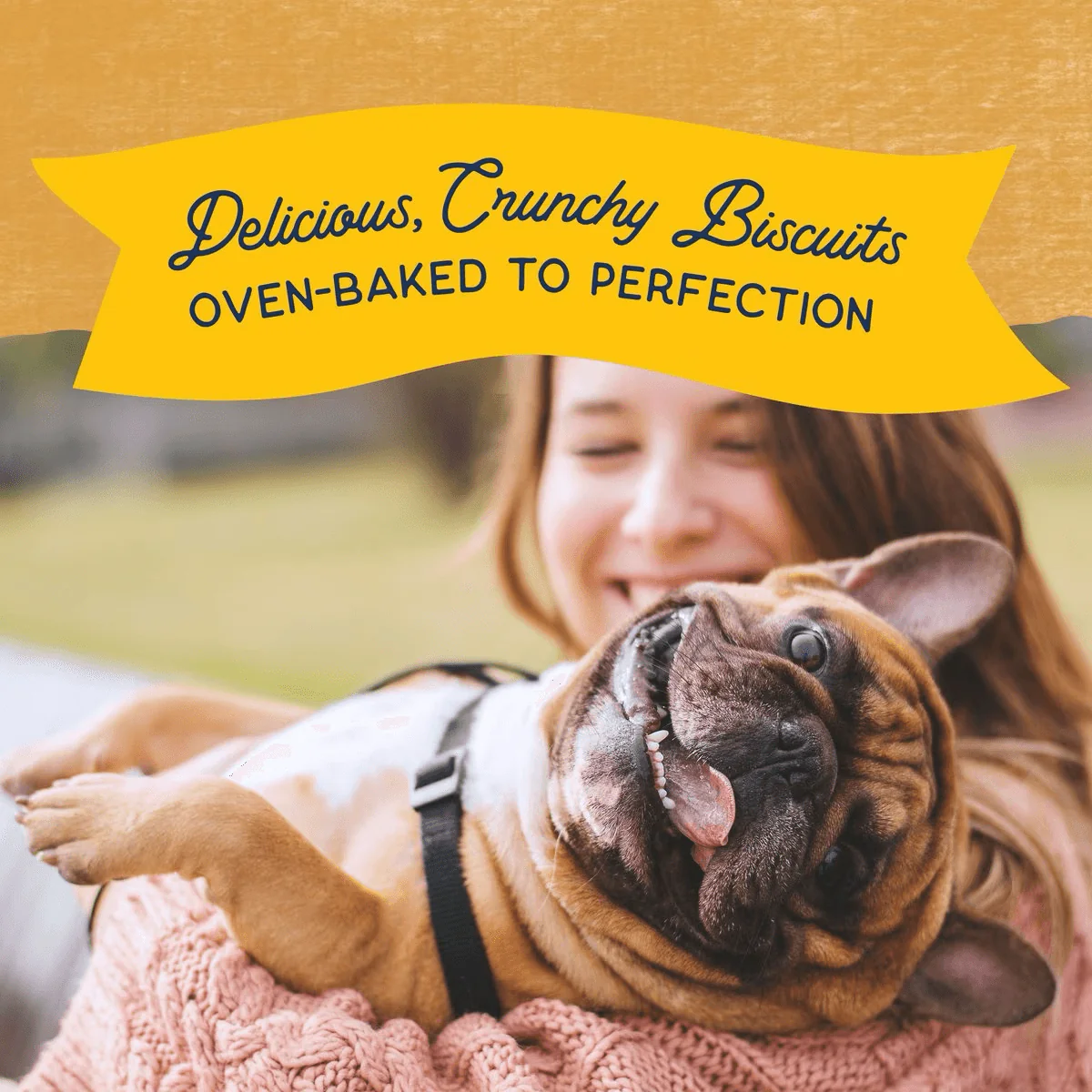 Natural Balance Rewards Crunchy Biscuits With Real Duck Dog Treats - Image 5
