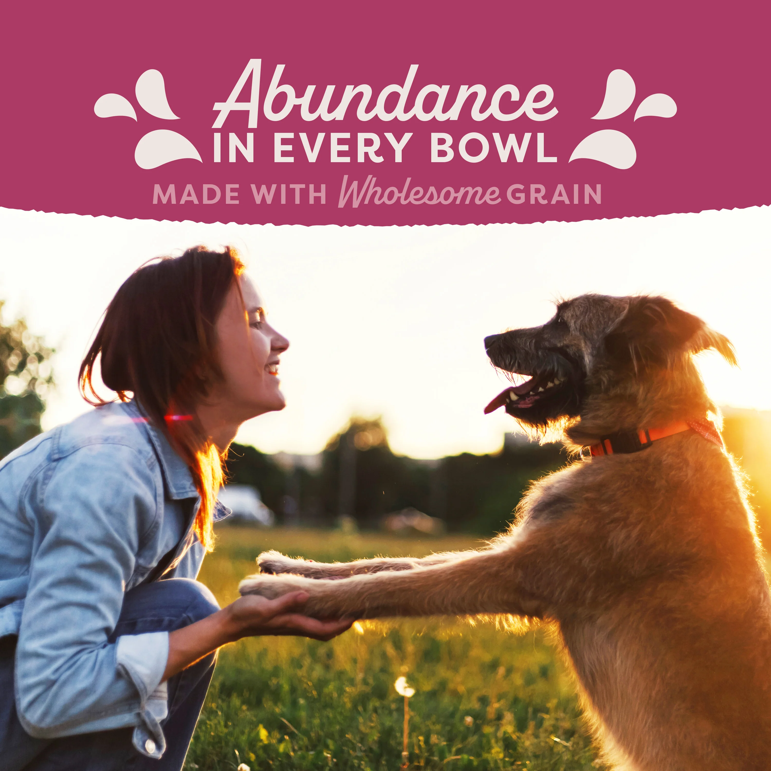 Natural Balance Targeted Nutrition Fat Dogs Low Calorie Dog Food - Image 9