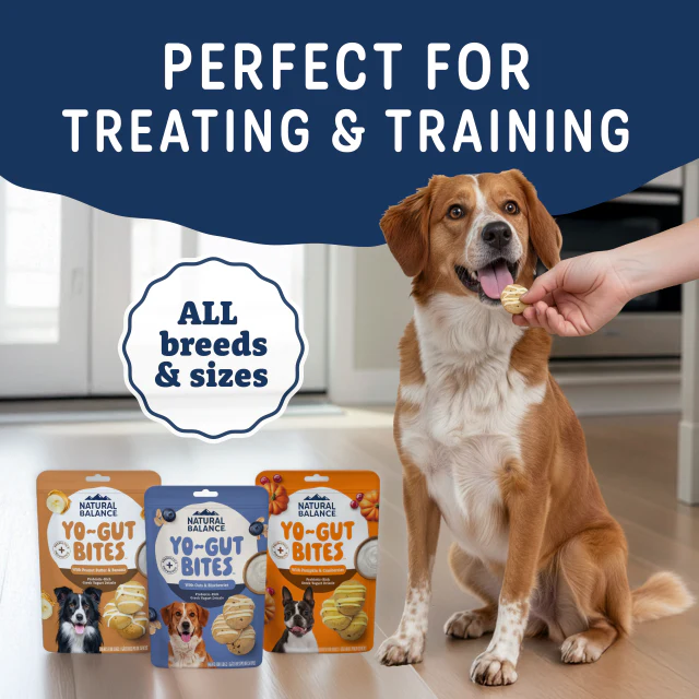 Natural Balance Yo-Gut Bites With Oats & Blueberries Dog Treats - Image 3