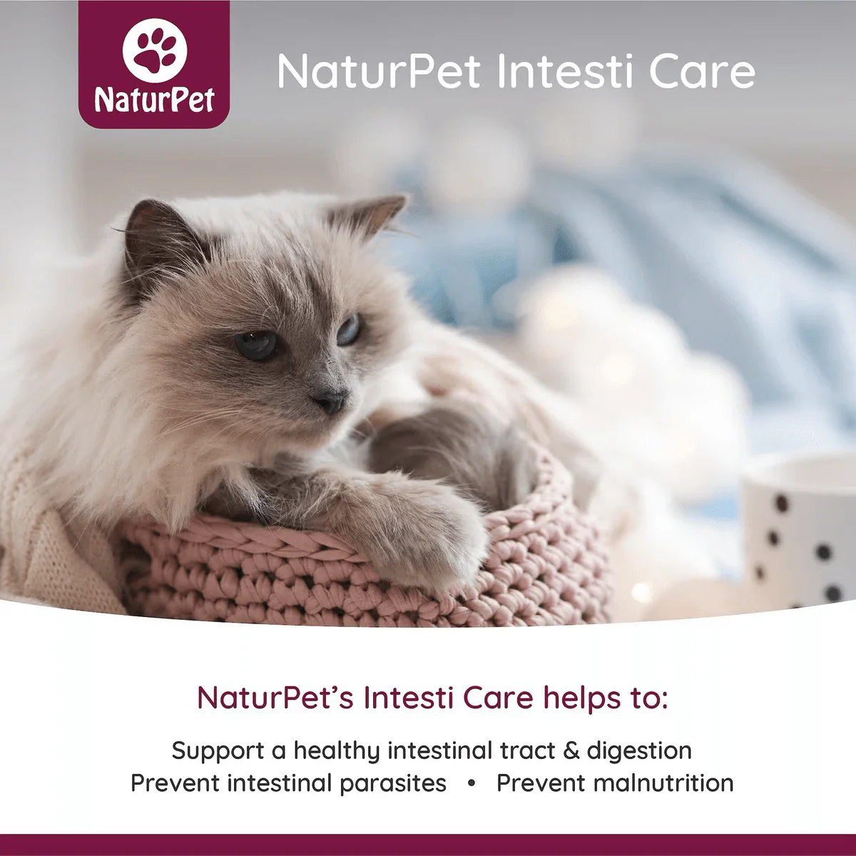 Naturpet Intesti Care Pet Supplement - Image 4