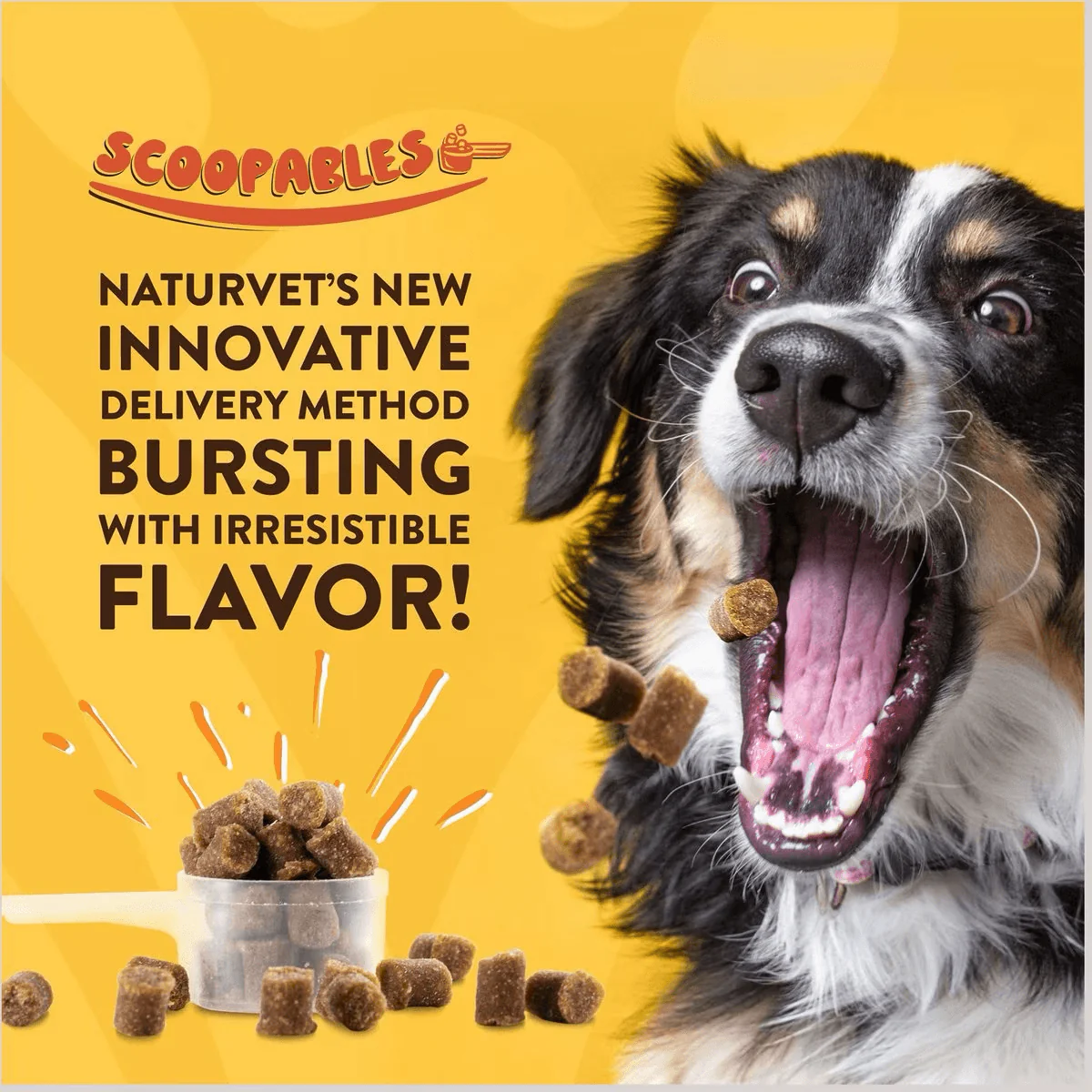 NaturVet Dog Scoopables Coprophagia - Image 4