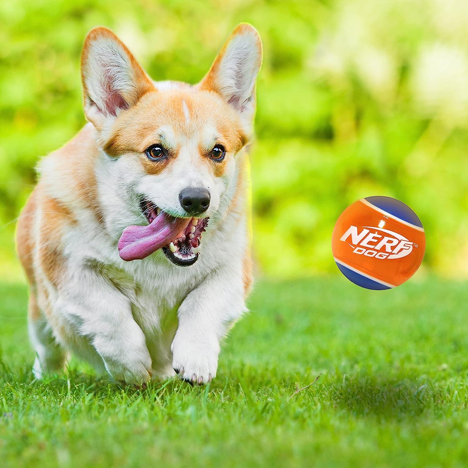 Nerf Puppy & Small Dog TPR Ball Dog Toy - Image 2