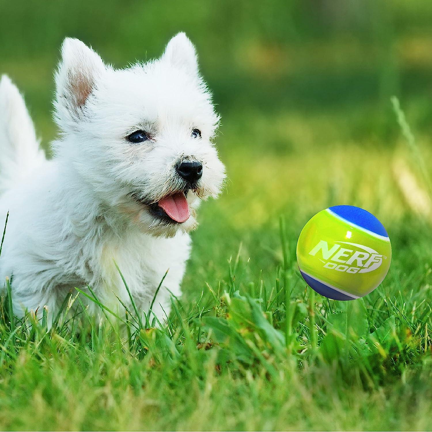 Nerf Puppy & Small Dog TPR Ball Dog Toy - Image 4