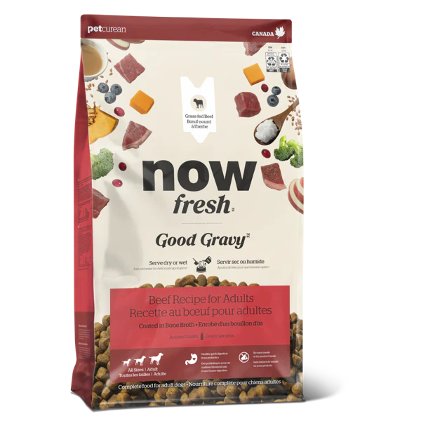 Now Fresh Good Gravy Beef Coated in Bone Broth for Dogs