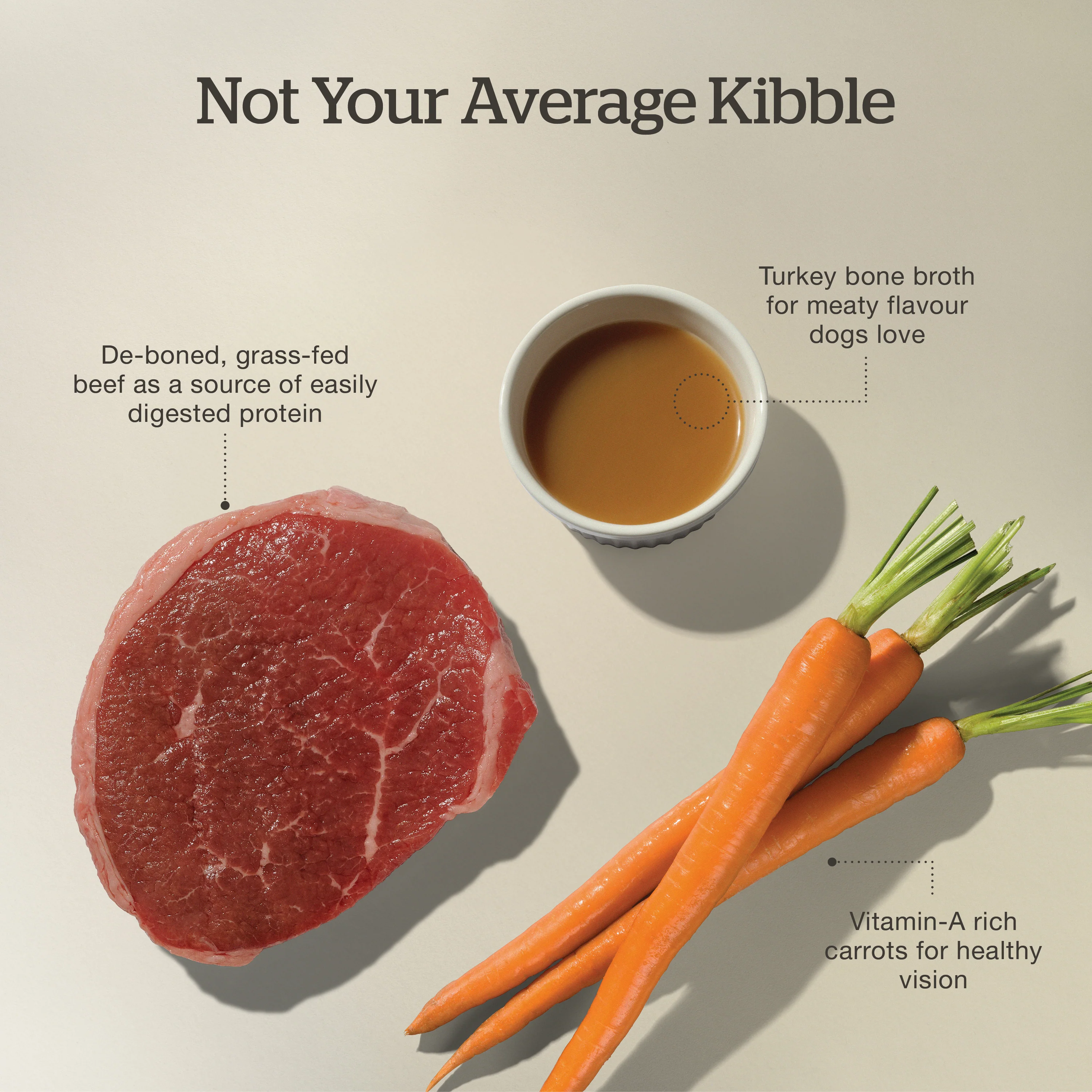 Now Fresh Good Gravy Beef Coated in Bone Broth for Dogs - Image 4