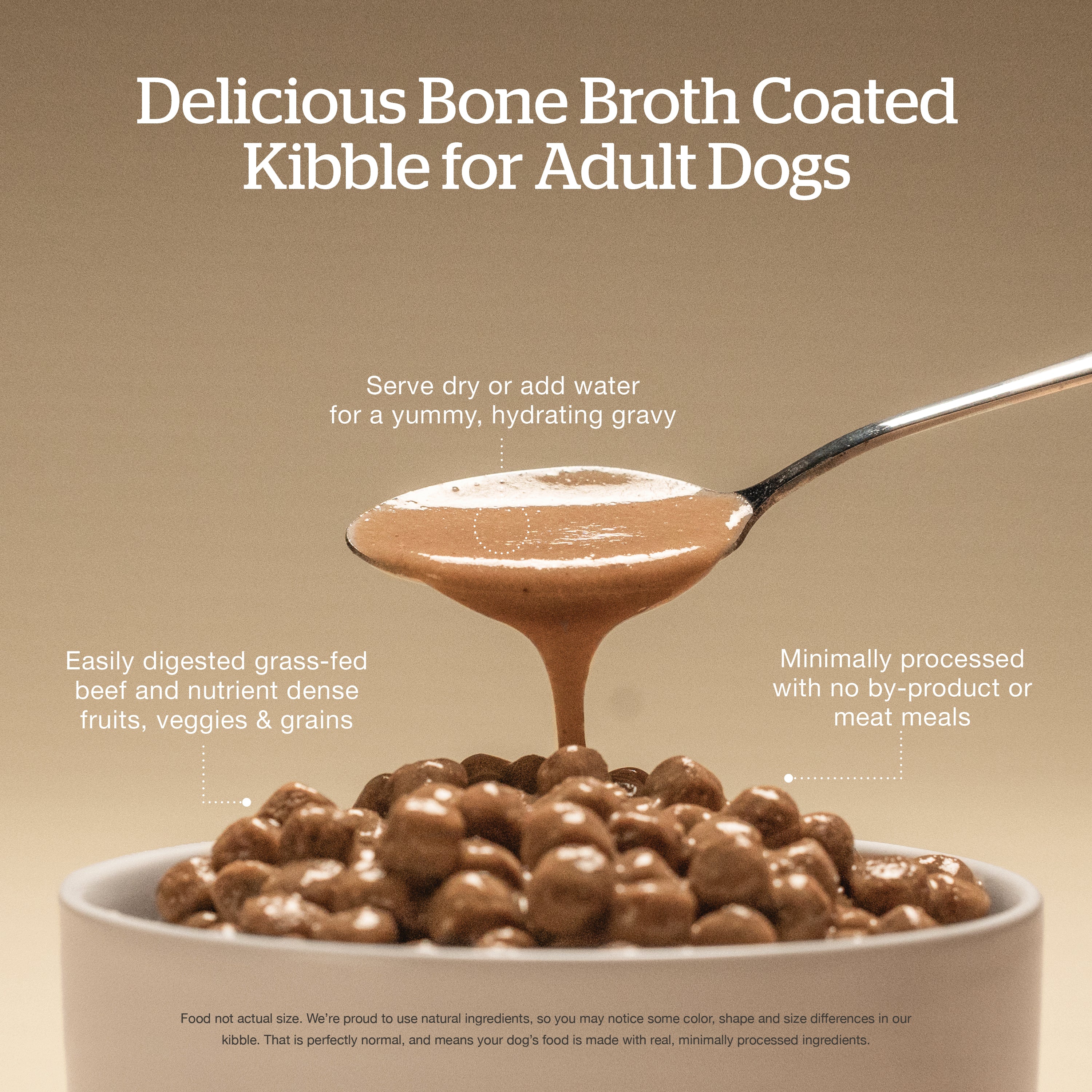 Now Fresh Good Gravy Beef Coated in Bone Broth for Dogs - Image 5