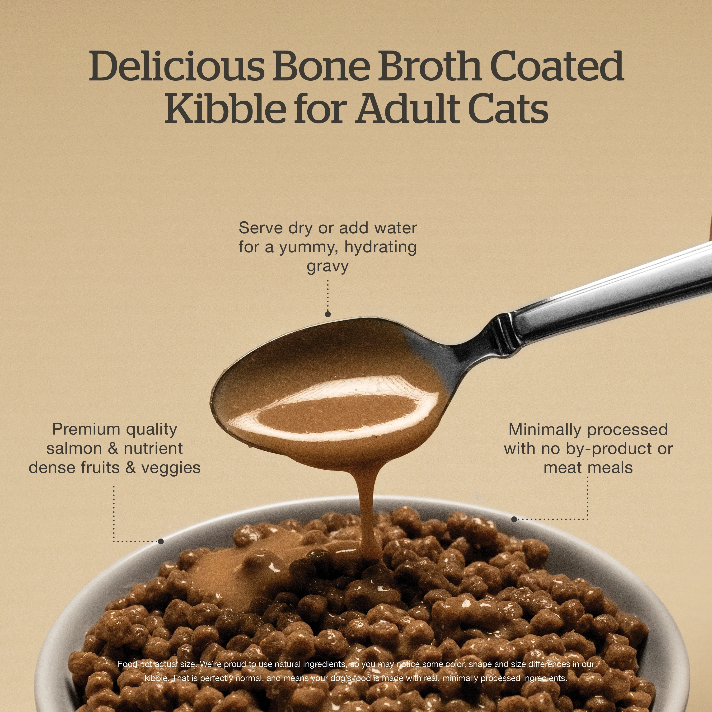 Now Fresh Good Gravy Salmon Coated in Bone Broth for Cats - Image 4