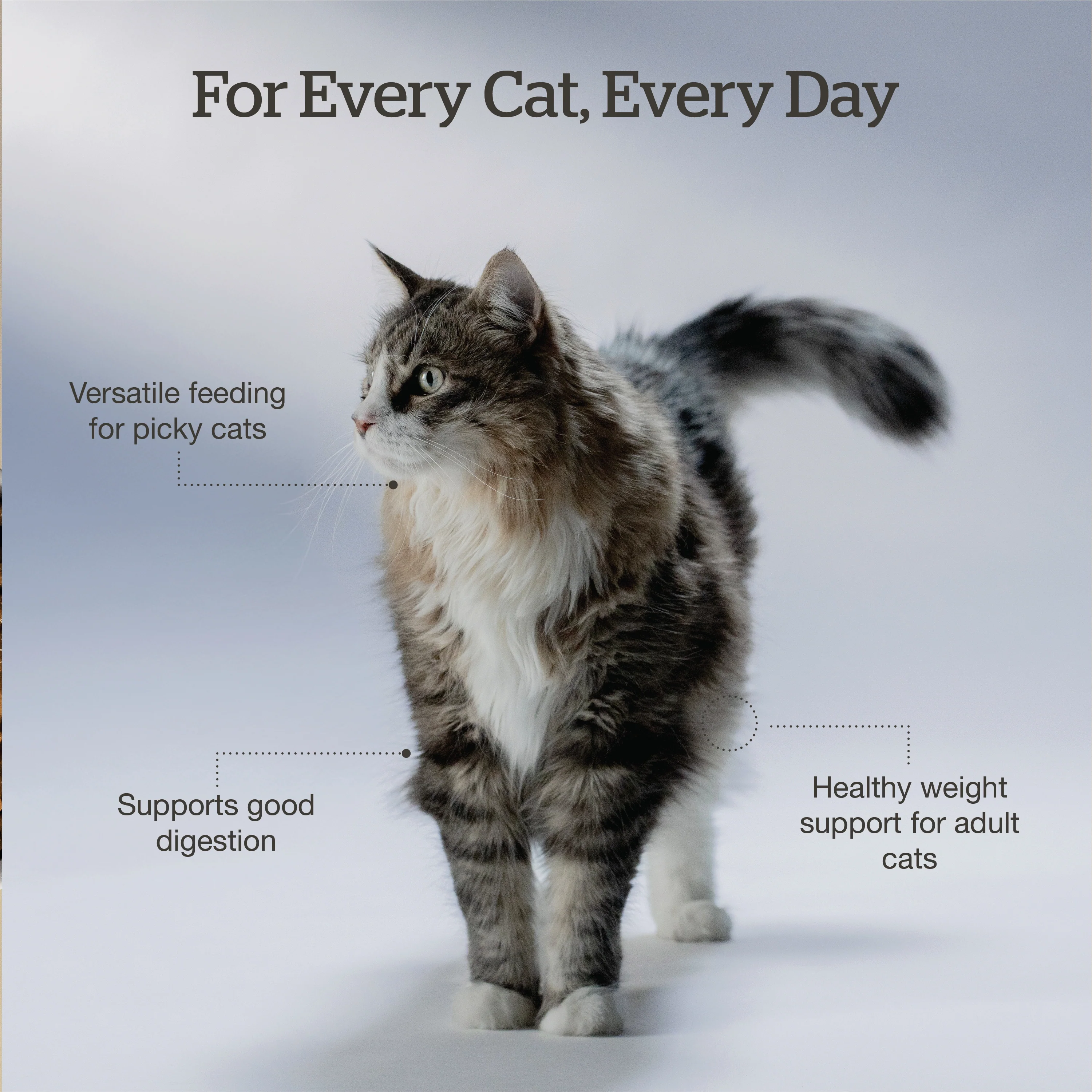 Now Fresh Good Gravy Salmon Coated in Bone Broth for Cats - Image 6