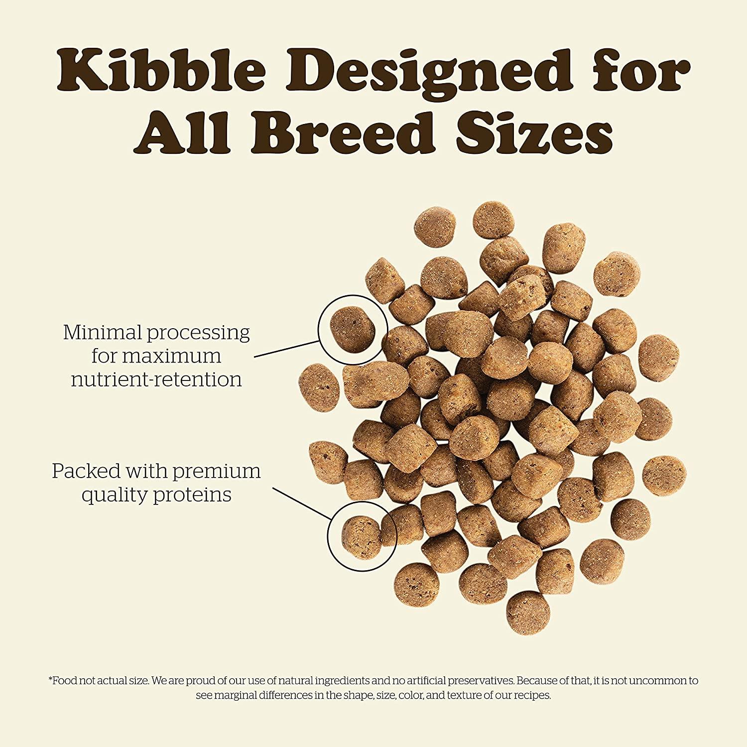 Now Fresh Grain Free Adult Turkey, Salmon, & Duck Recipe for Dogs - Image 6
