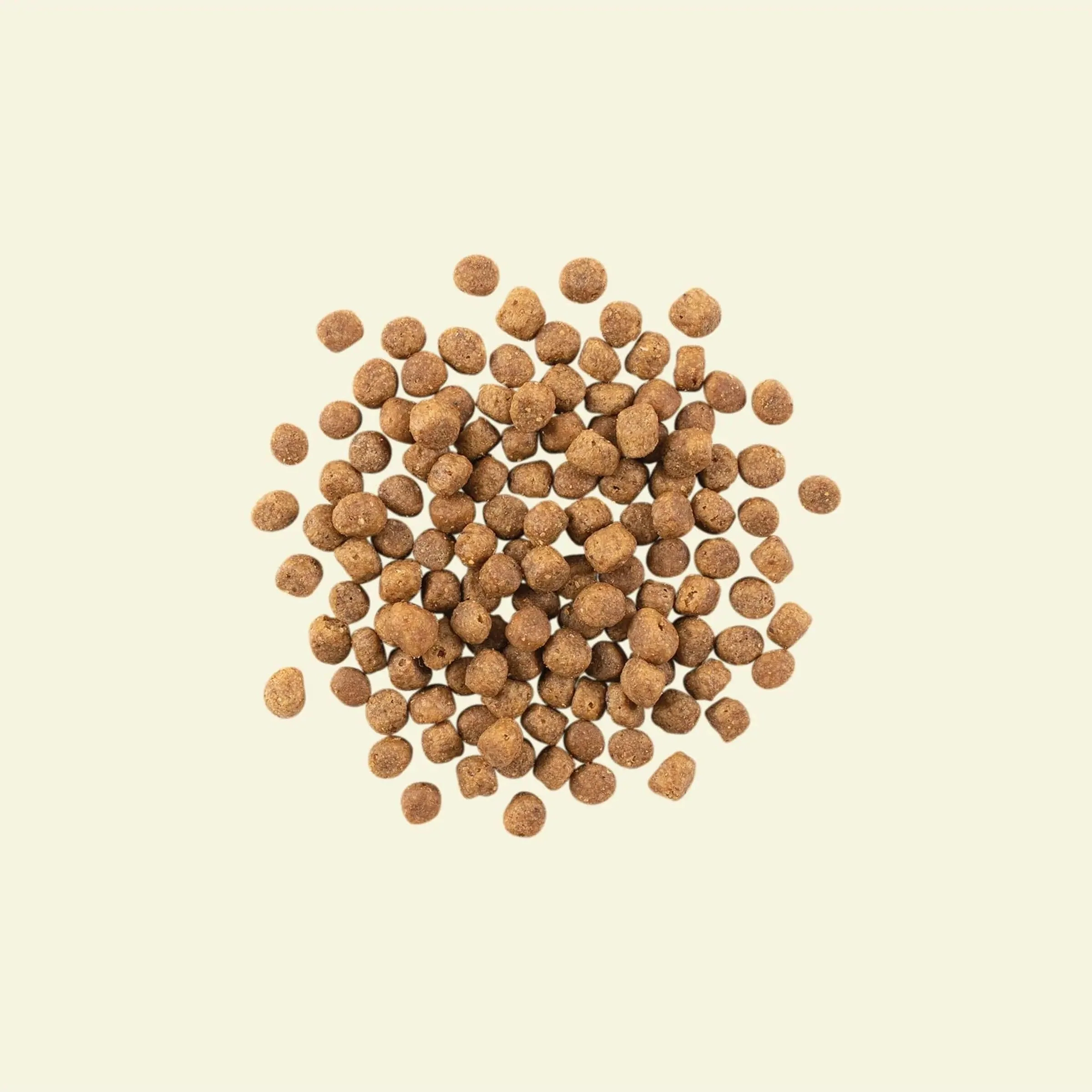 Now Fresh Grain Free Fish Recipe With Trout, Salmon, & Herring for Adult Cats - Image 2