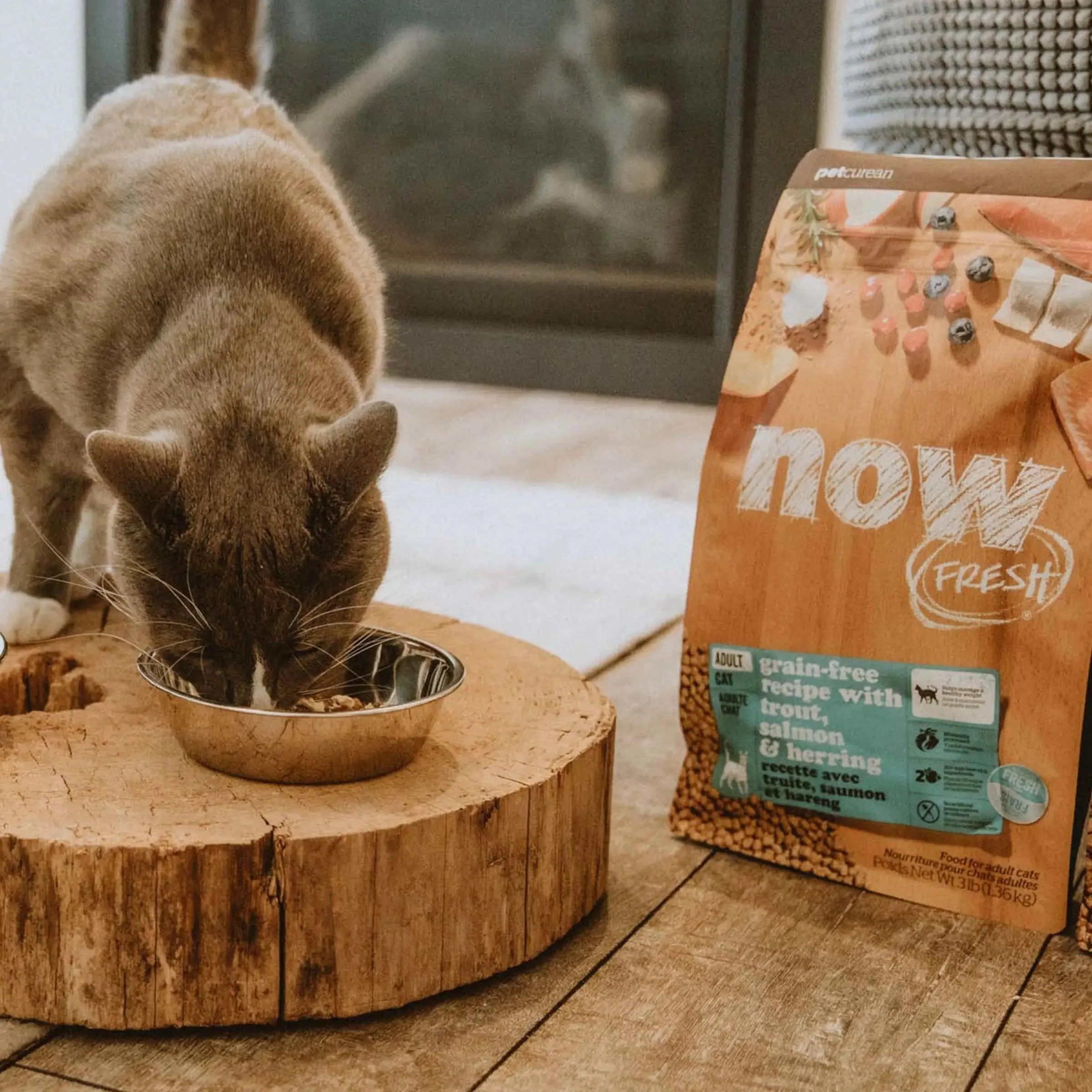 Now Fresh Grain Free Fish Recipe With Trout, Salmon, & Herring for Adult Cats - Image 3