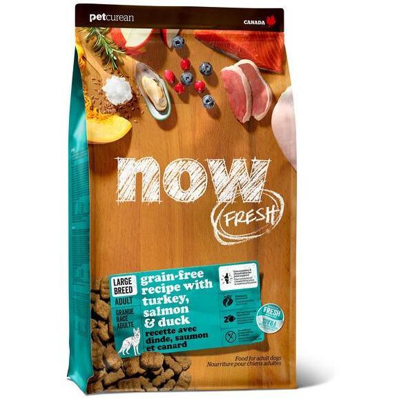 Now Fresh Grain Free Large Breed Adult Turkey, Salmon, Duck Recipe for dogs