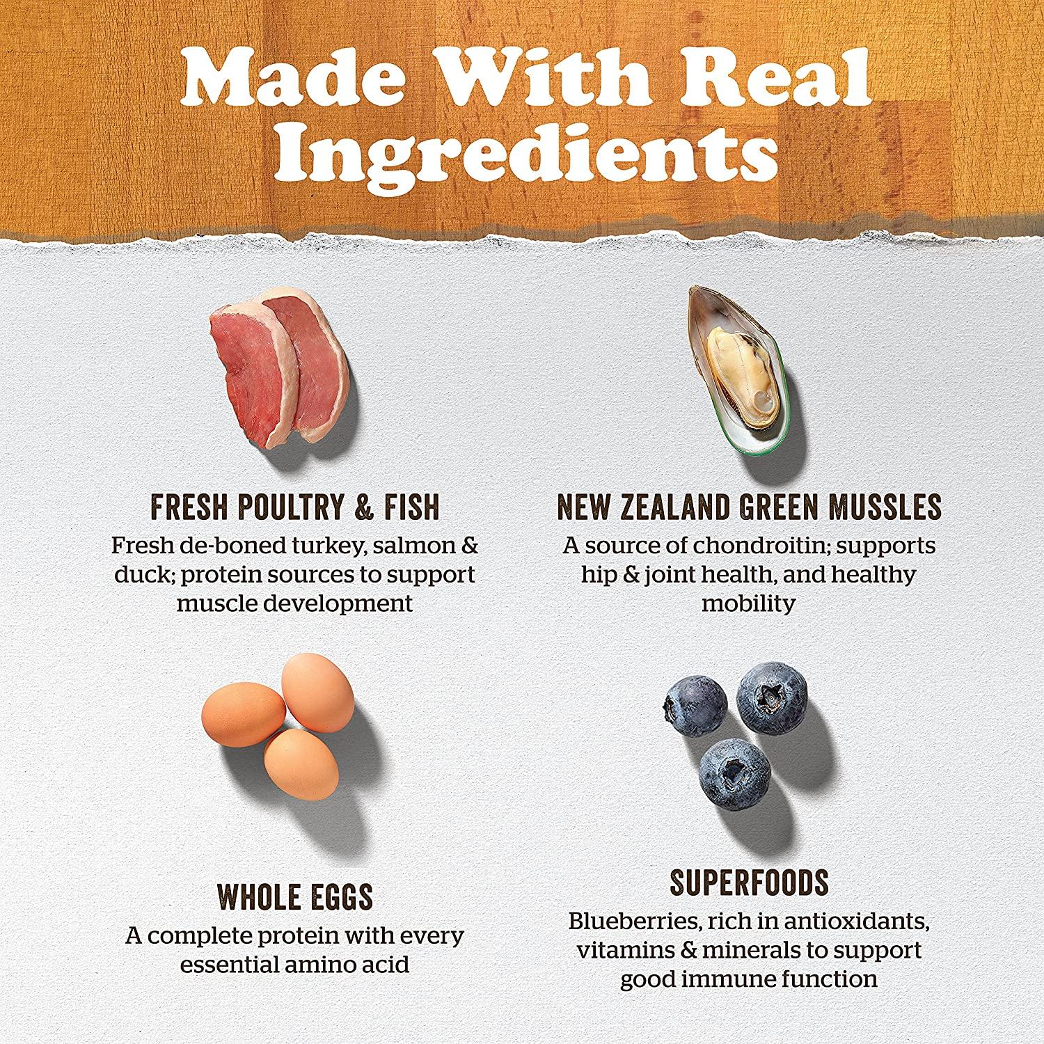 Now Fresh Grain Free Large Breed Adult Turkey, Salmon, Duck Recipe for dogs - Image 4