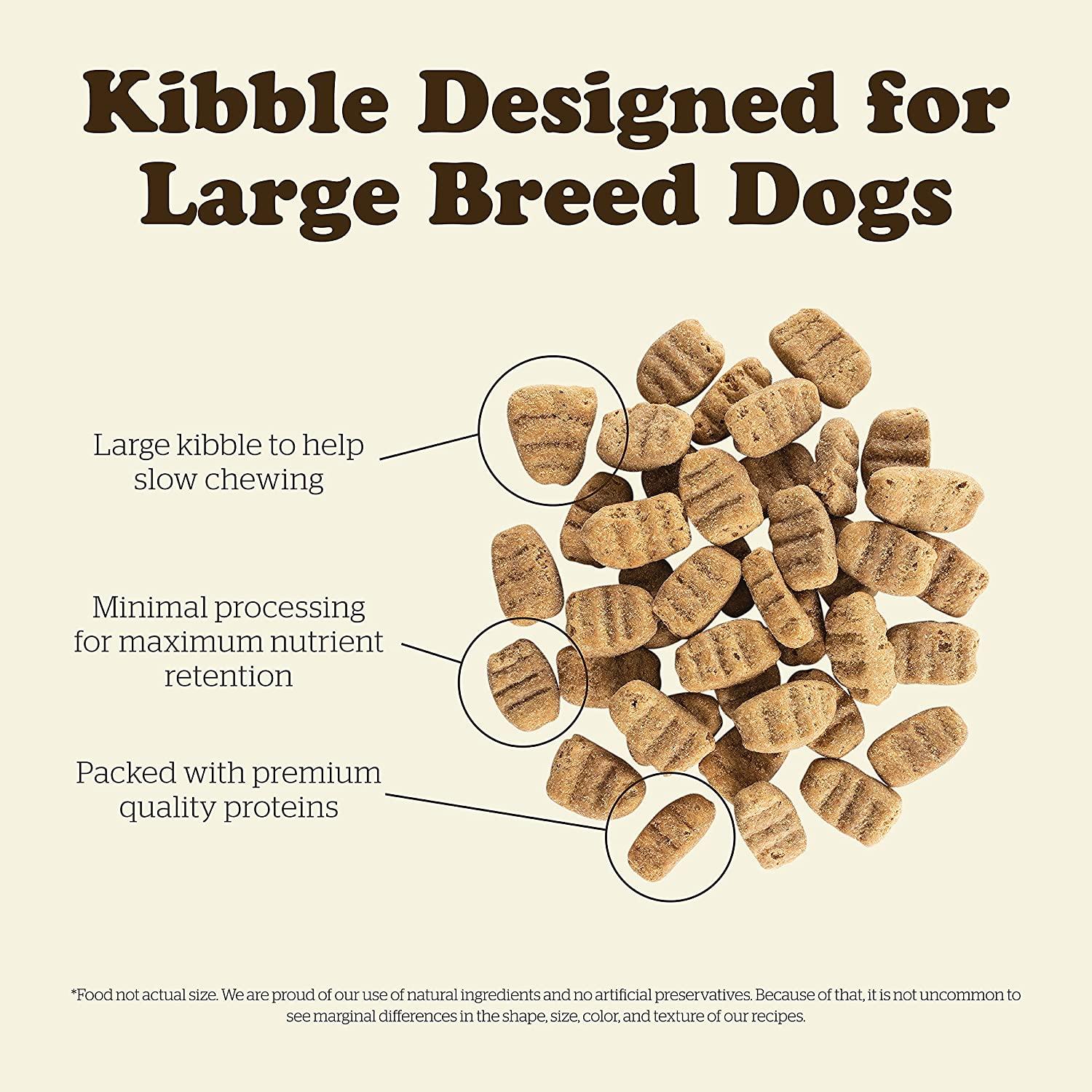 Now Fresh Grain Free Large Breed Adult Turkey, Salmon, Duck Recipe for dogs - Image 6