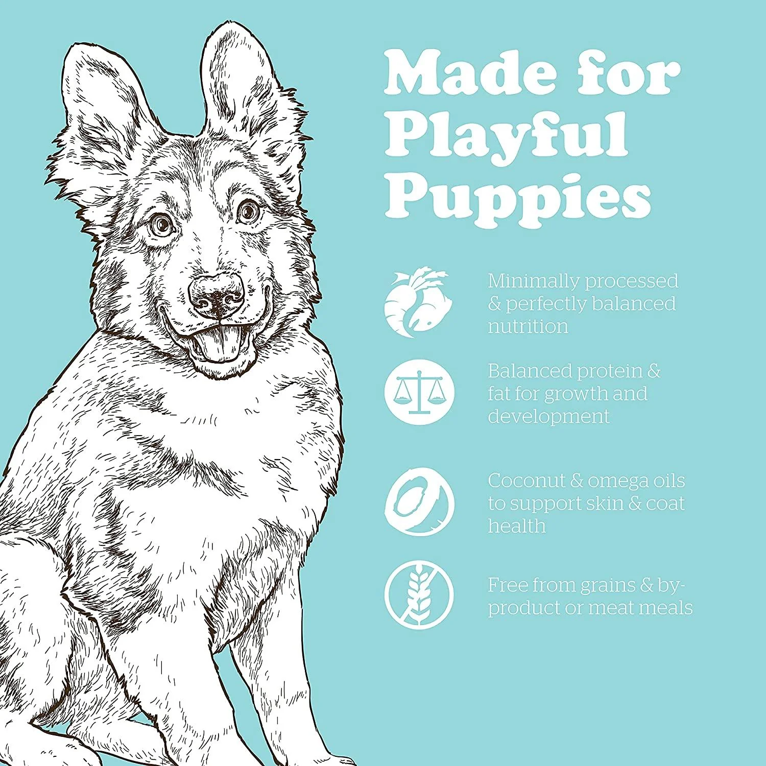 Now Fresh Grain Free Large Breed Puppy Turkey, Salmon, & Duck Recipe - Image 3