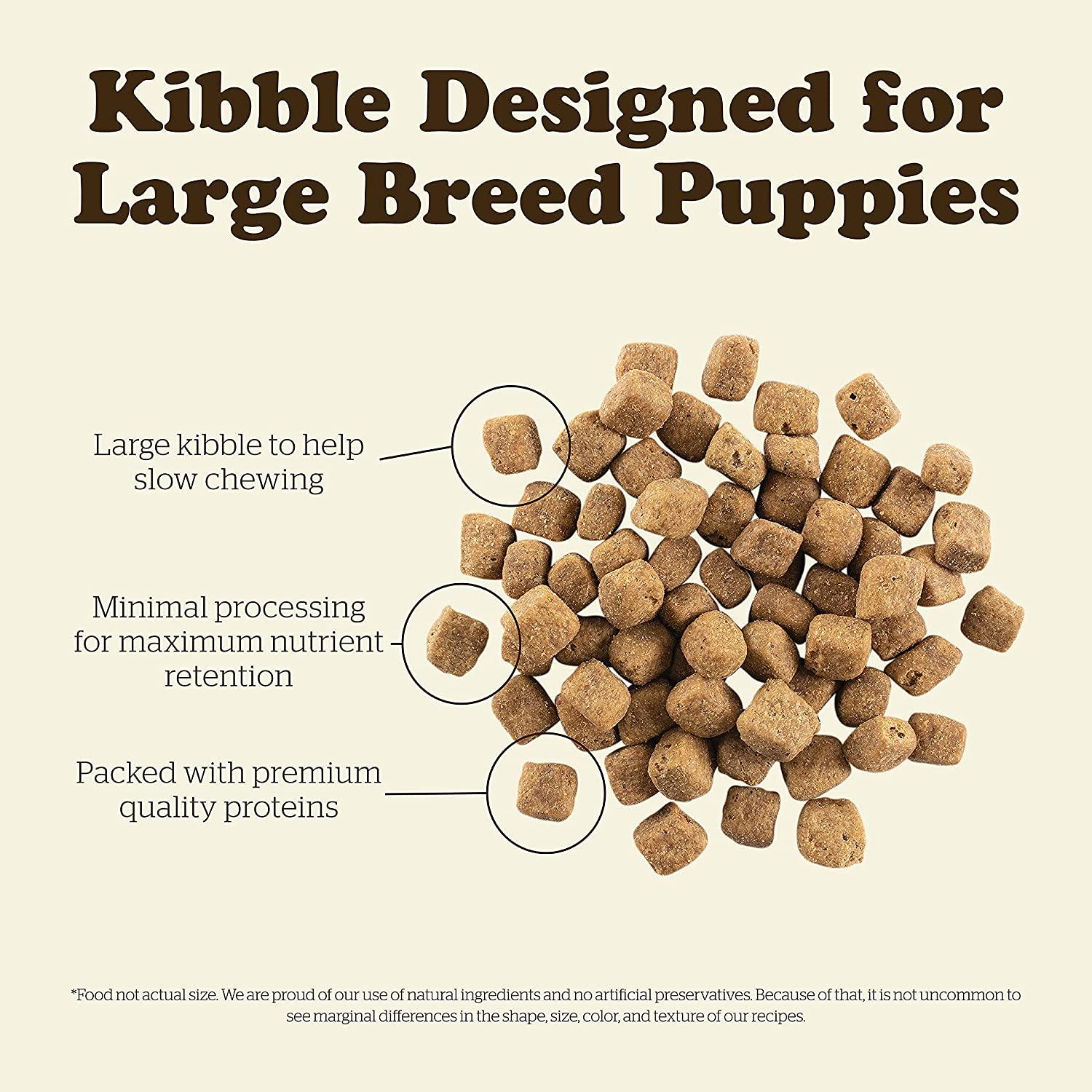 Now Fresh Grain Free Large Breed Puppy Turkey, Salmon, & Duck Recipe - Image 6