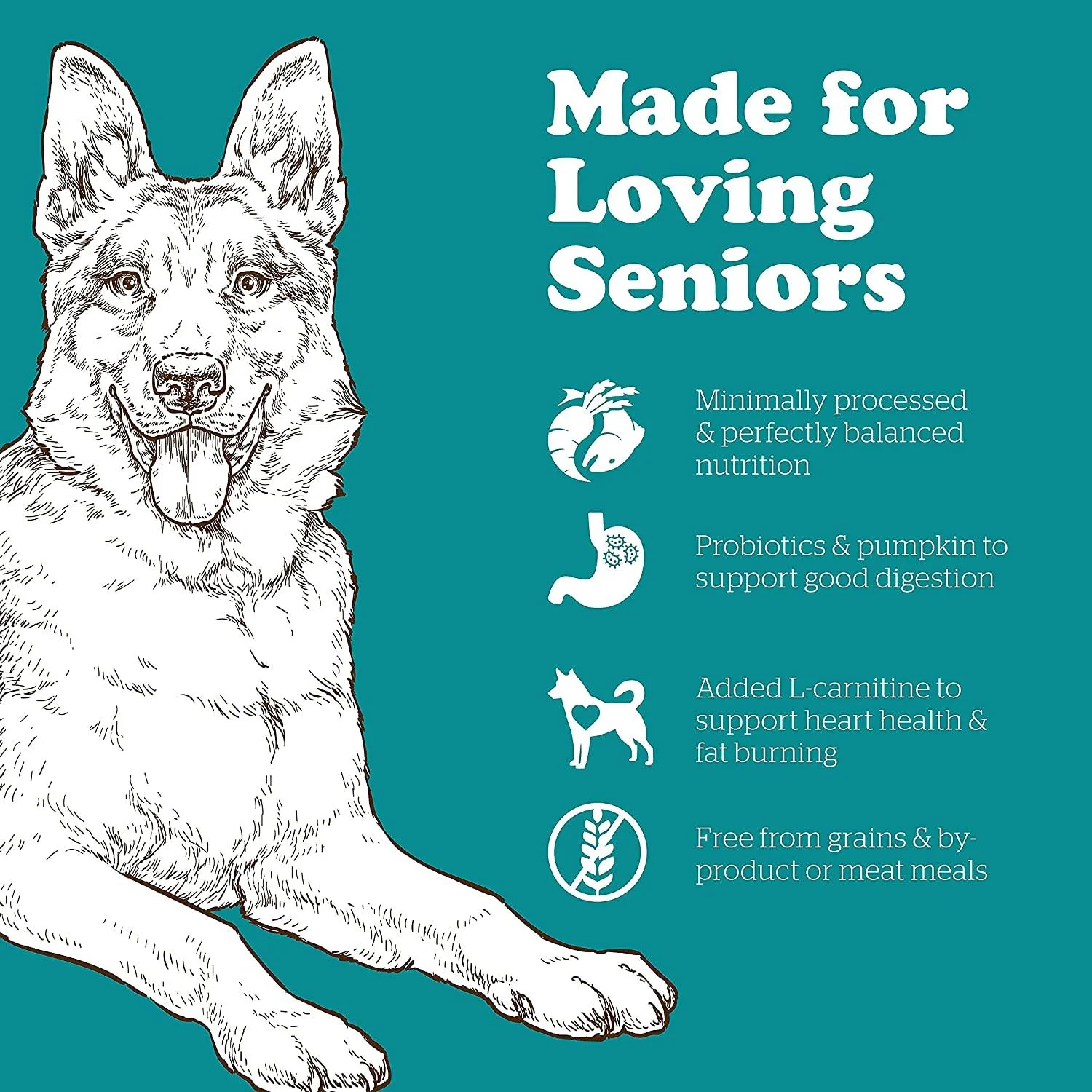 Now Fresh Grain Free Large Breed Senior Turkey, Salmon, & Duck Recipe for dogs - Image 3
