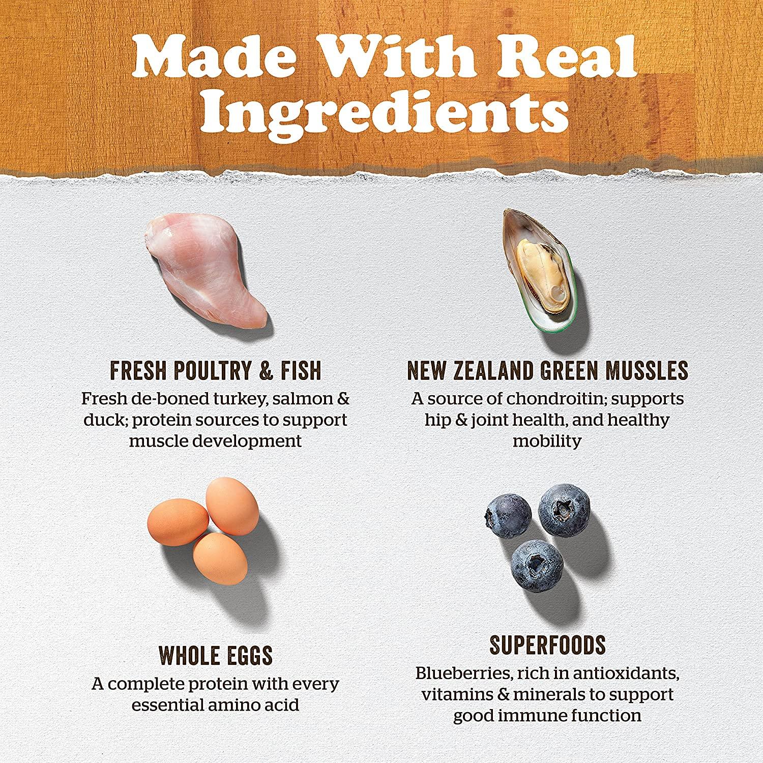 Now Fresh Grain Free Large Breed Senior Turkey, Salmon, & Duck Recipe for dogs - Image 4