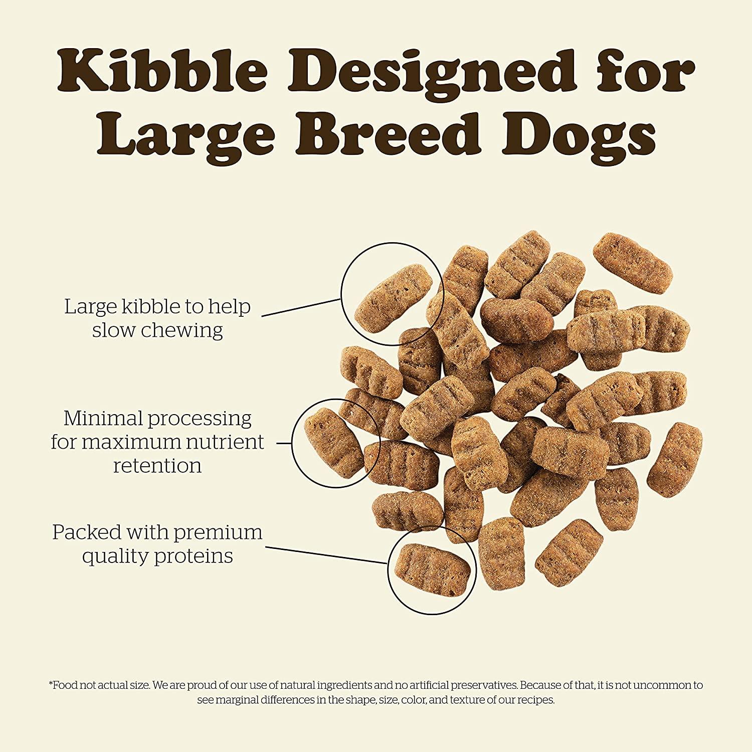 Now Fresh Grain Free Large Breed Senior Turkey, Salmon, & Duck Recipe for dogs - Image 6